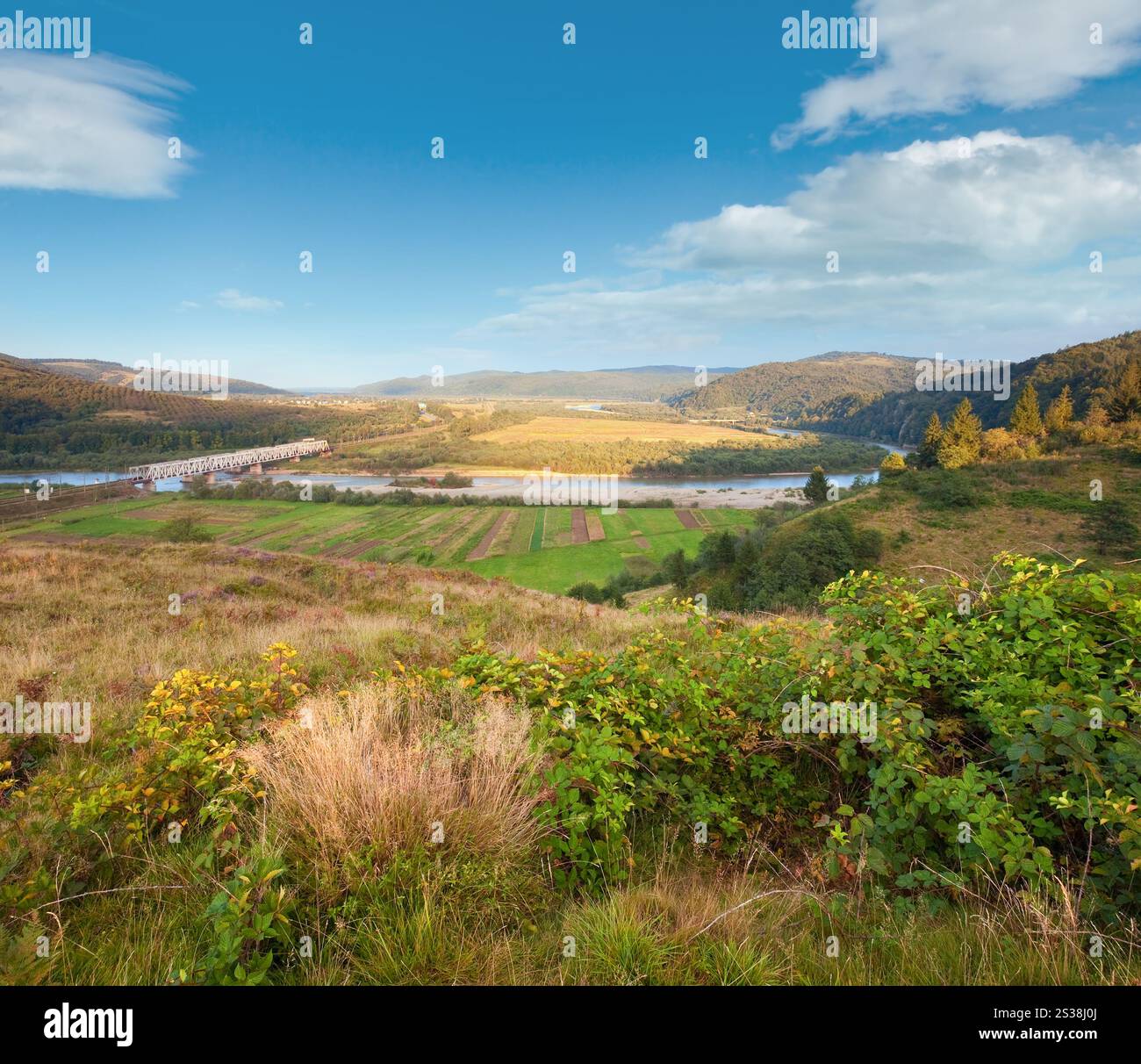 Vue sur la vallée de la rivière né d'été (Oblast de Lviv, en Ukraine). Banque D'Images