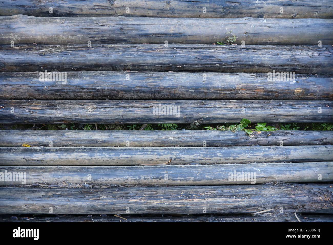 Cabane en rondins ou grange mur écorché non peint fond horizontal texturé gros plan. Cabane en rondins ou grange non peinte mur écorcé texturé horizontal Banque D'Images