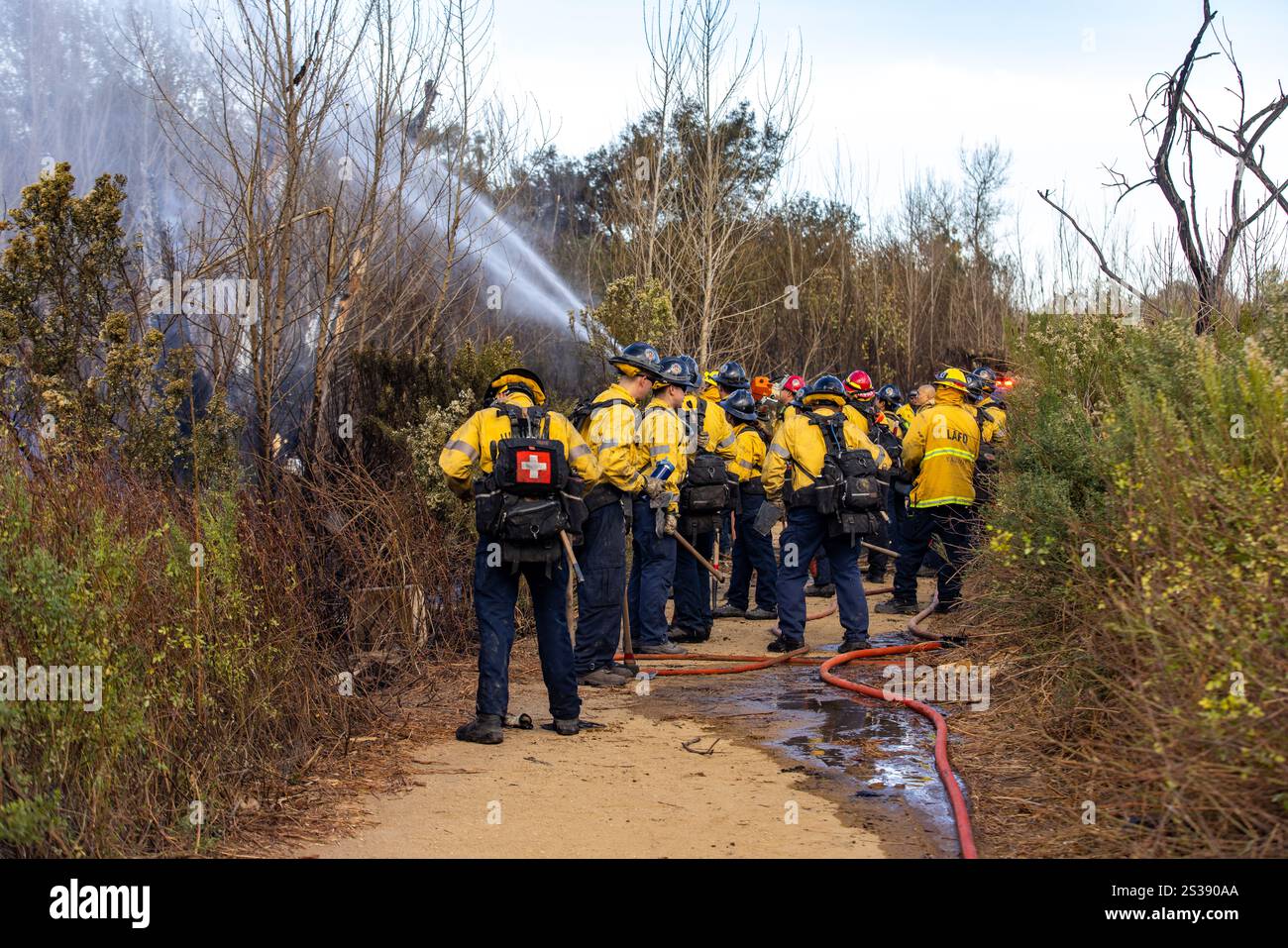 Les pompiers combattent plusieurs feux de forêt à Los Angeles, notamment les incendies de Palisades, Eaton, Hurst et Sunset, provoquant des évacuations, des destructions, Banque D'Images