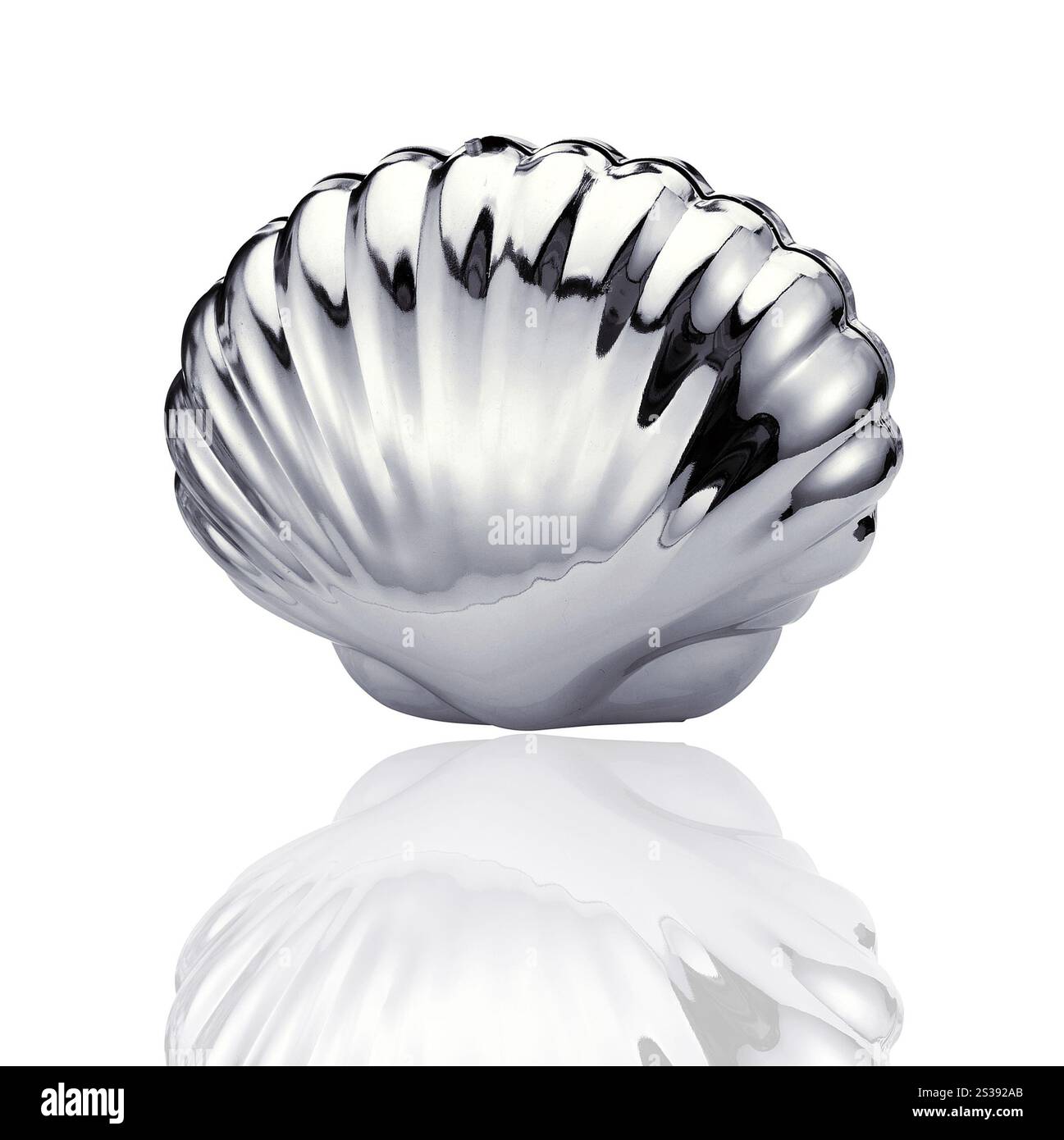 coquille métallique isolée sur fond blanc. coquille métallique isolée sur blanc Banque D'Images