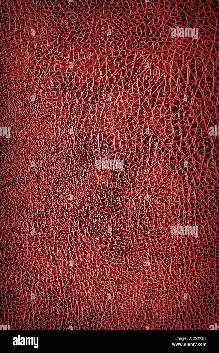 Fond ou texture en cuir de croccodile rouge. Fond en cuir de croccodile rouge Banque D'Images