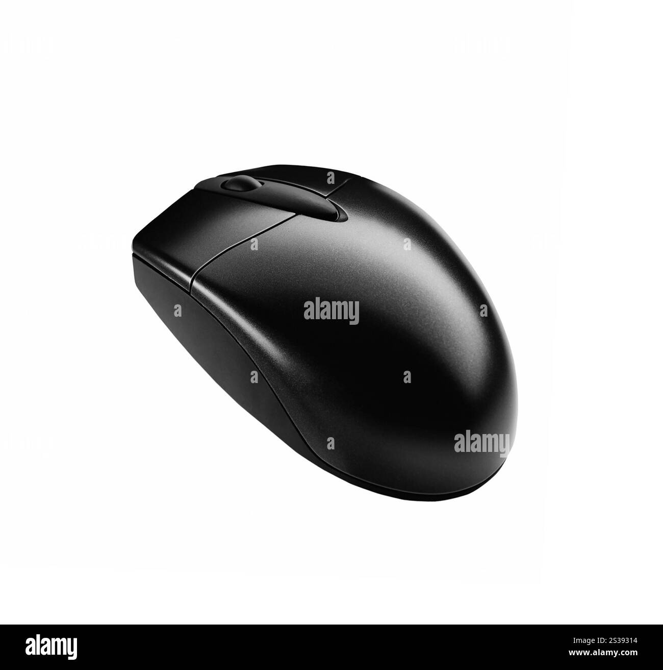 Gros plan de souris noire isolée Banque D'Images