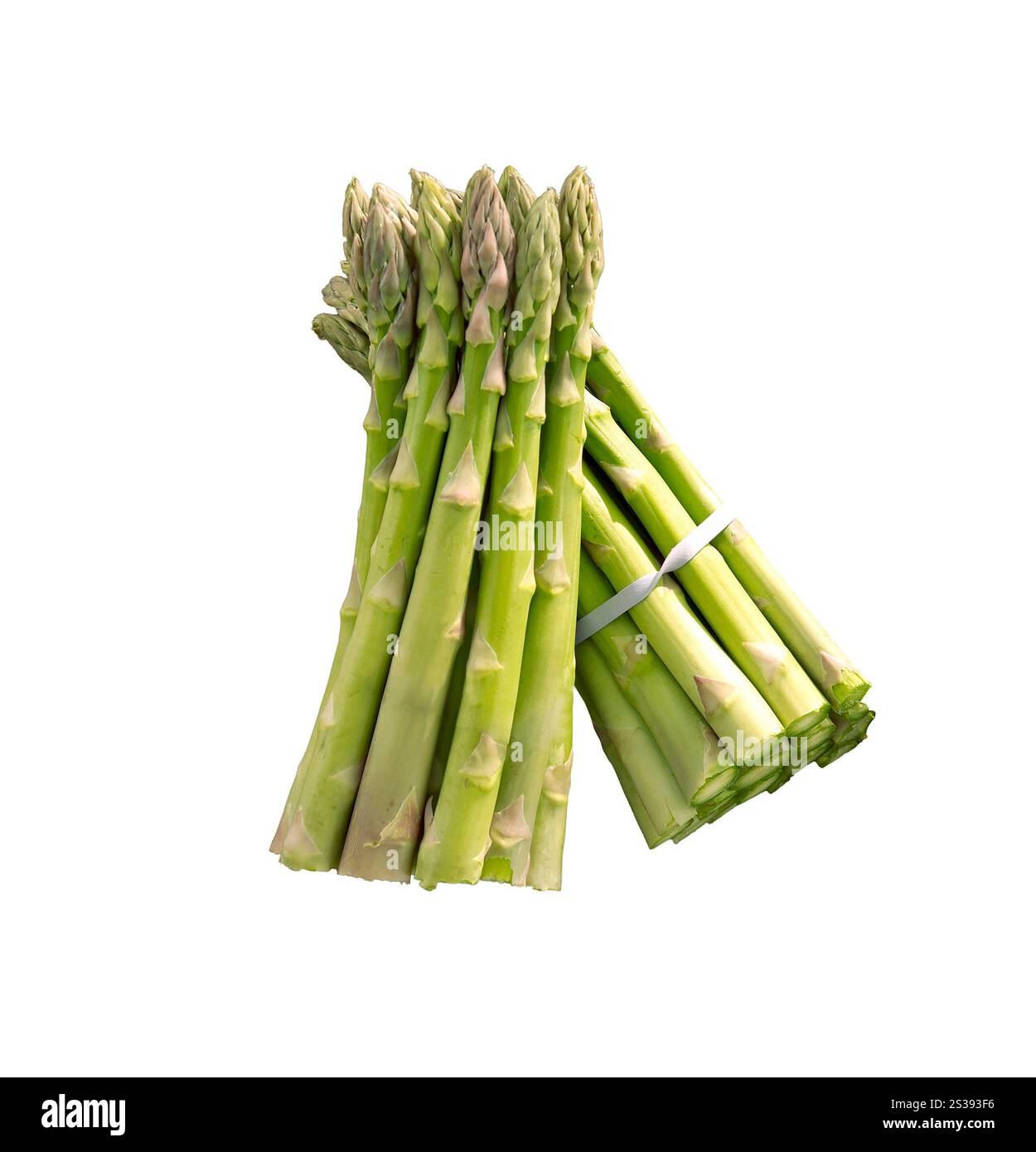 bouquet d'asperges vertes isolé sur blanc. bouquet d'asperges vertes Banque D'Images