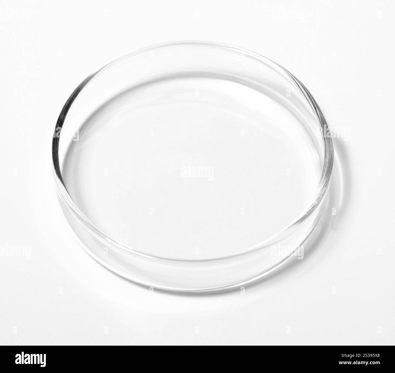 Boîte de Petri isolée sur fond blanc. Boîte de Pétri isolée sur blanc Banque D'Images