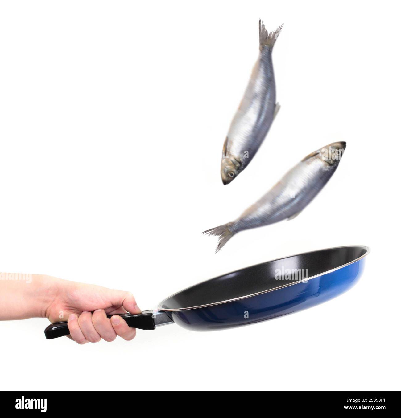 mouvement de poisson dans le stylo isolé sur fond blanc. mouvement de poisson dans le stylo Banque D'Images