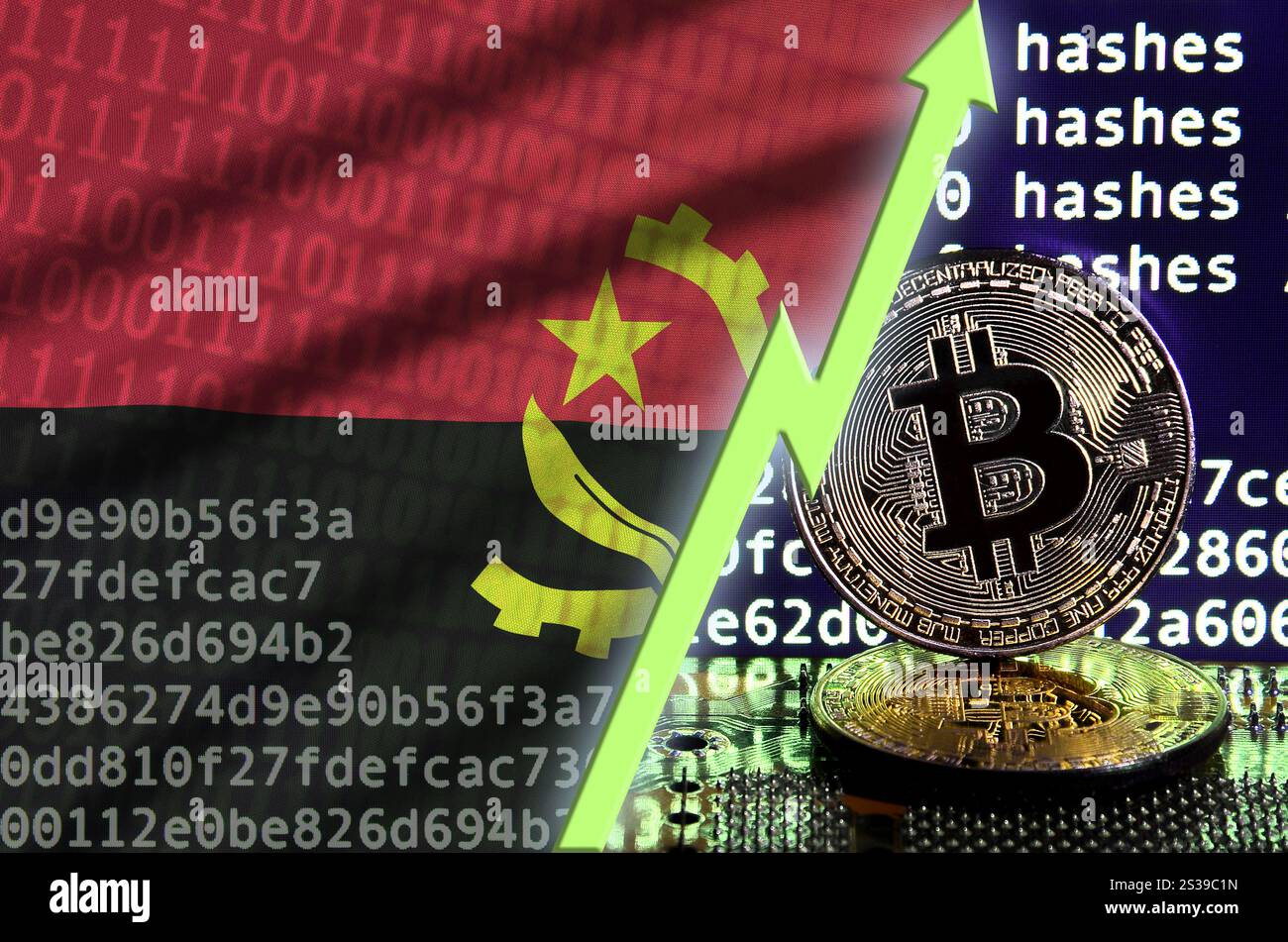 Drapeau de l'Angola et flèche verte montante sur l'écran de minage de bitcoins et deux bitcoins dorés physiques. Concept de conversion élevée dans le minage de crypto-monnaie. Banque D'Images