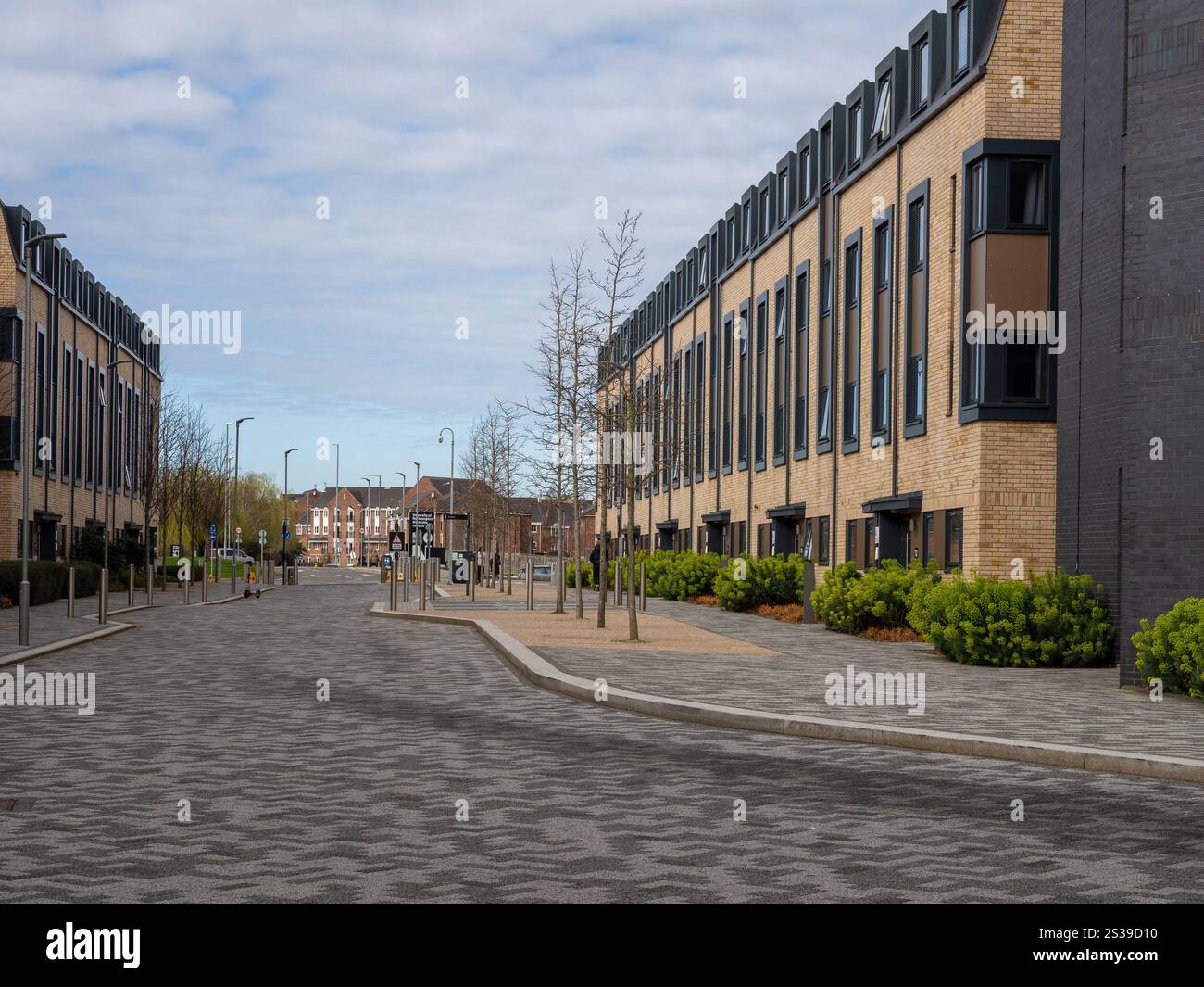 Park Avenue avec des résidences de chaque côté, Waterside, Campus de l'Université de Northampton, Northampton, Northamptonshire, UK Banque D'Images