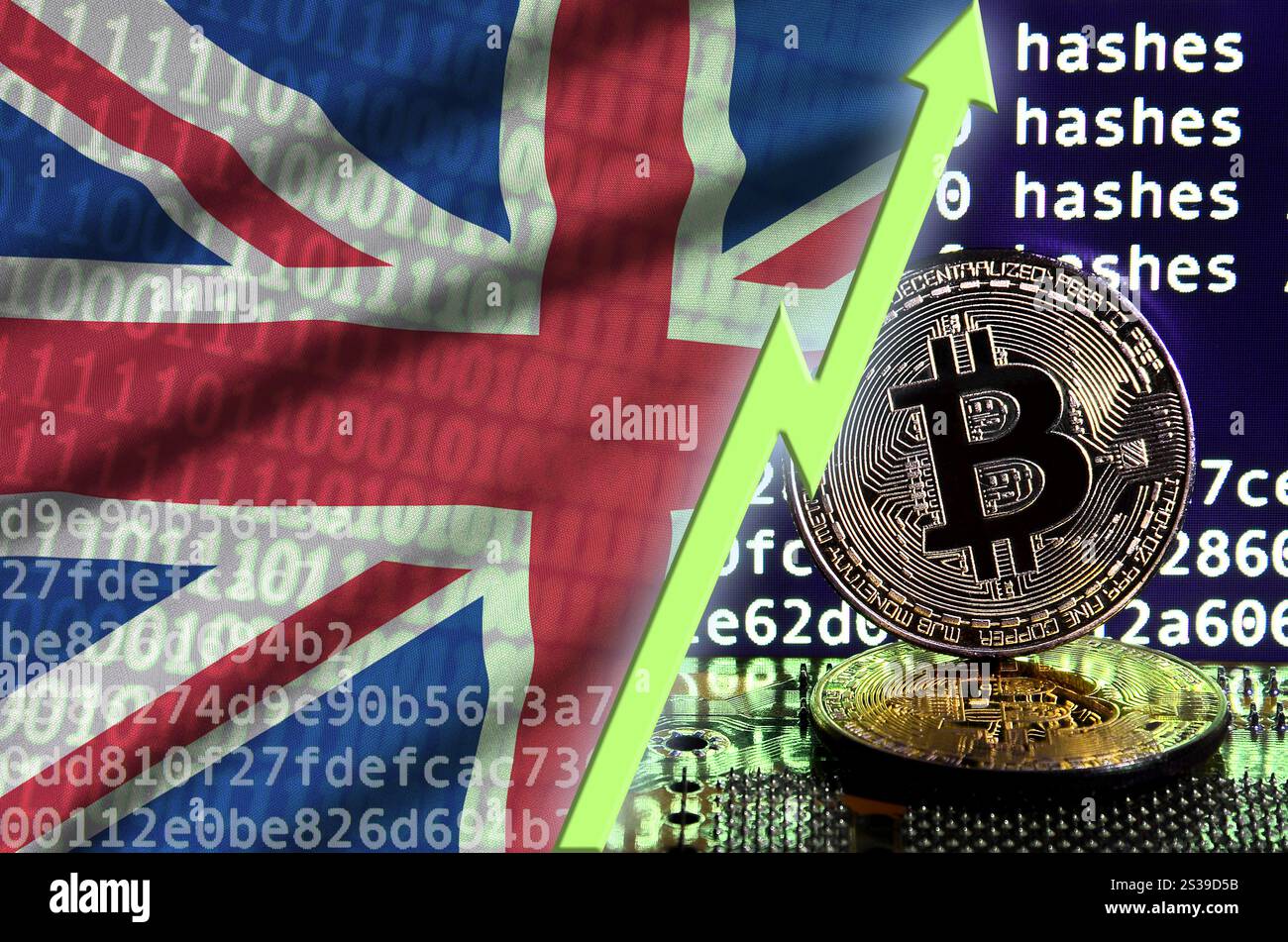 Drapeau de Grande-bretagne et flèche verte montante sur l'écran de minage de bitcoins et deux bitcoins dorés physiques. Concept de conversion élevée en crypto-monnaie Banque D'Images