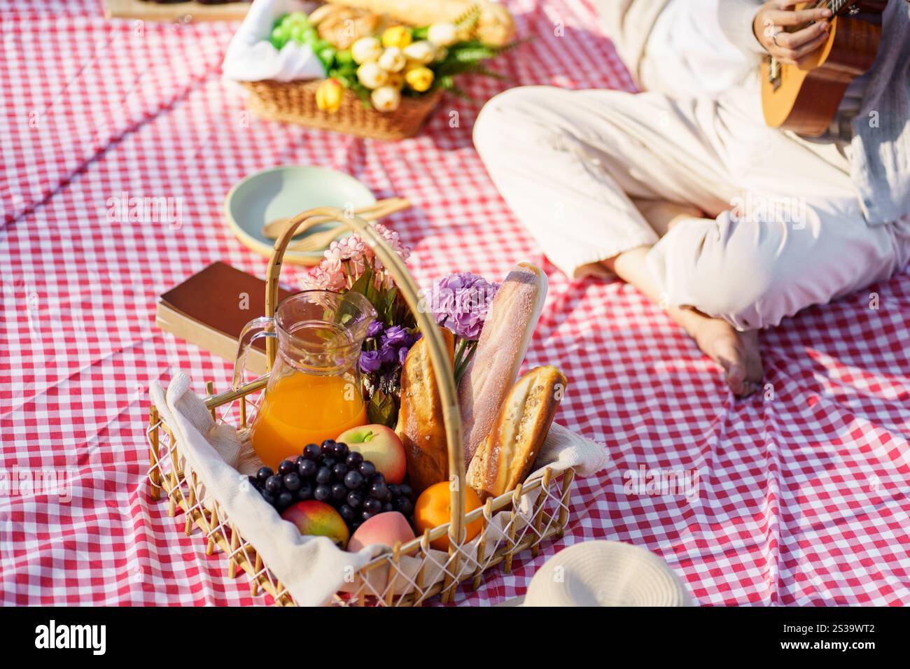 Déjeuner pique-nique repas à l'extérieur du parc avec panier de pique-nique alimentaire. profitez de l'heure de pique-nique dans la nature du parc à l'extérieur Banque D'Images
