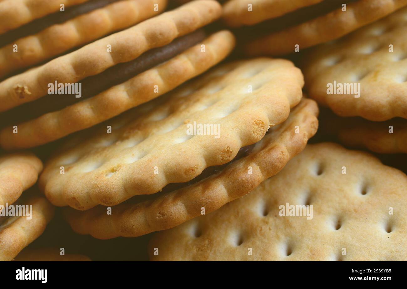 Image détaillée des biscuits sandwich ronds avec garniture à la noix de coco. Image d'arrière-plan d'un gros plan de plusieurs gâteries pour le thé Banque D'Images