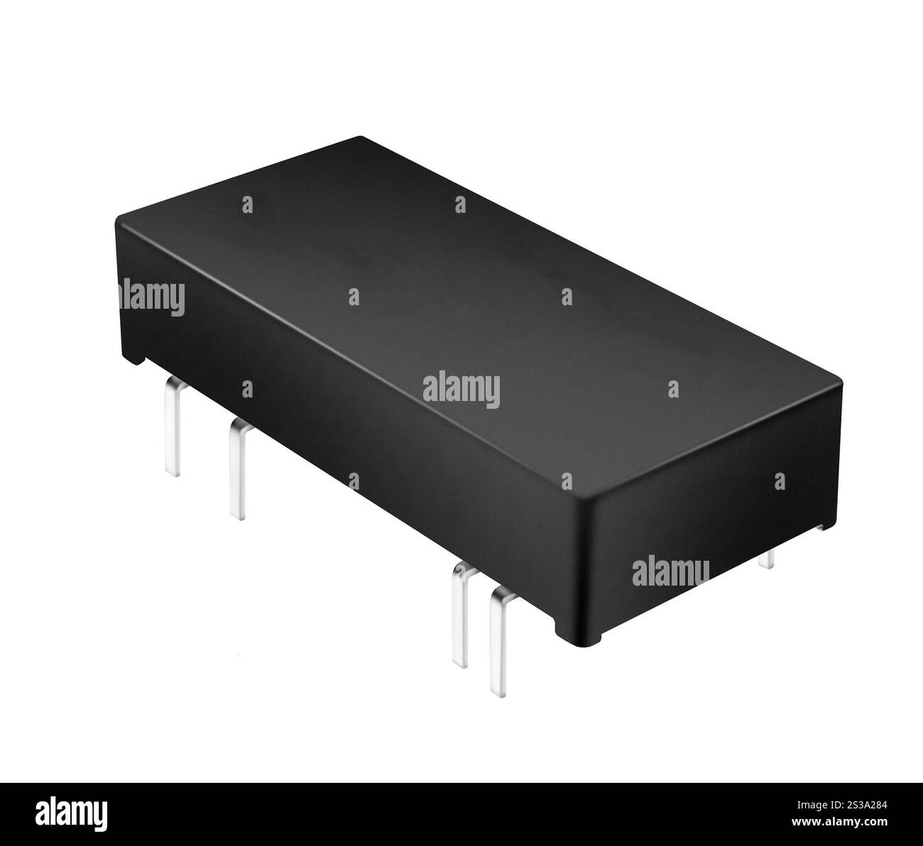 grande puce isolée sur fond blanc. grande puce isolée Banque D'Images