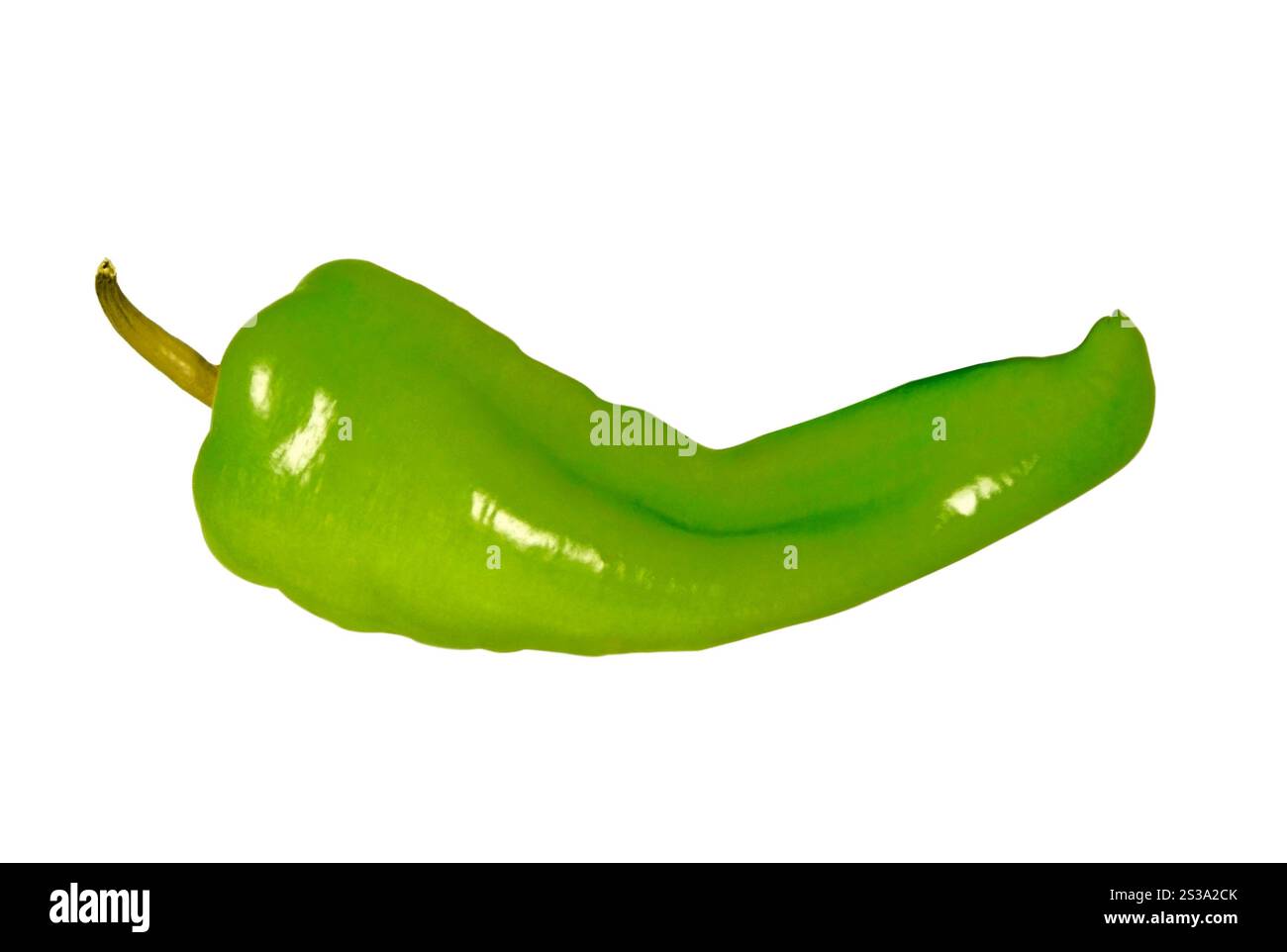 Pepper isolé sur fond blanc Banque D'Images