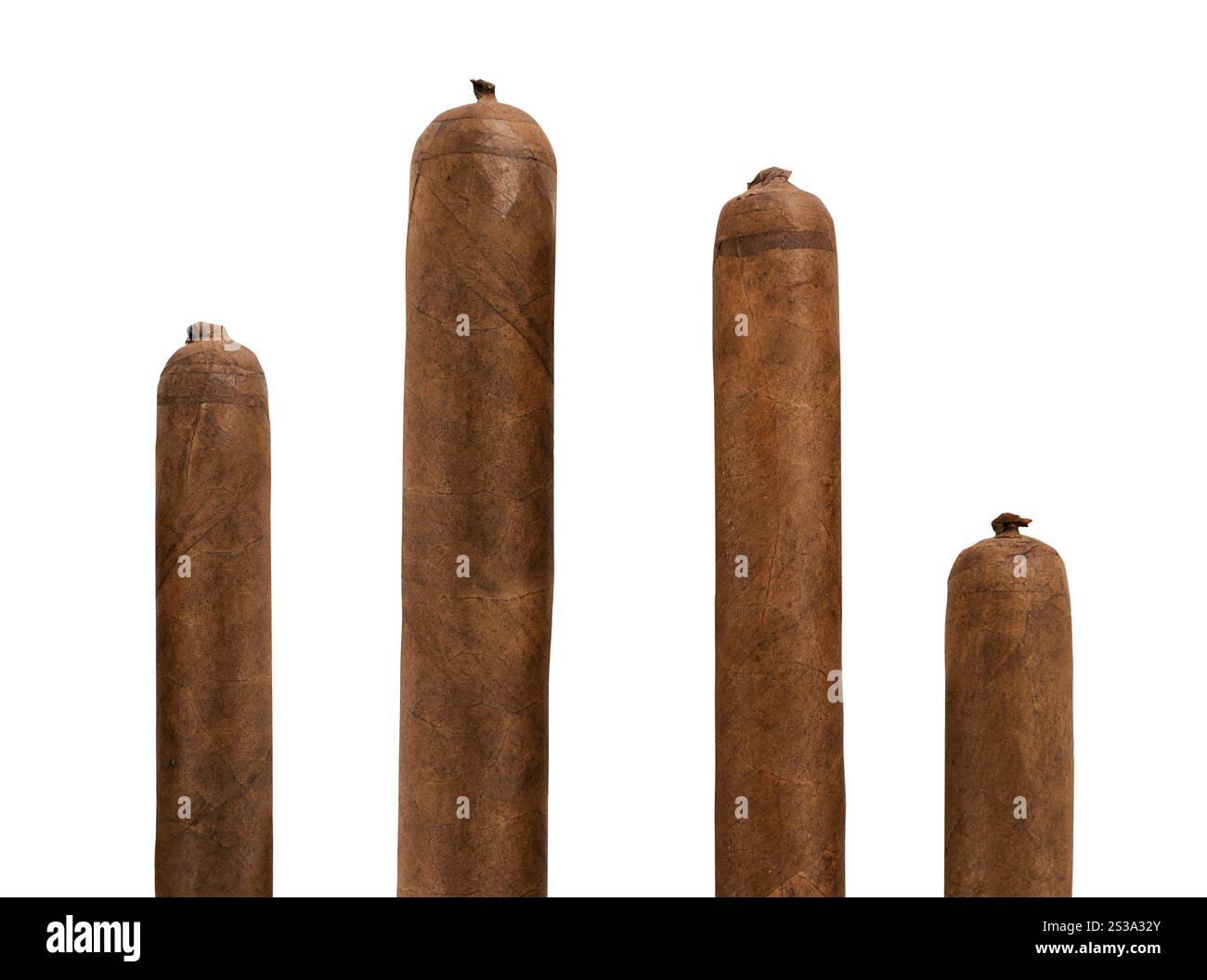 cigares isolés de toutes tailles isolés sur fond blanc. cigares isolés toutes tailles Banque D'Images