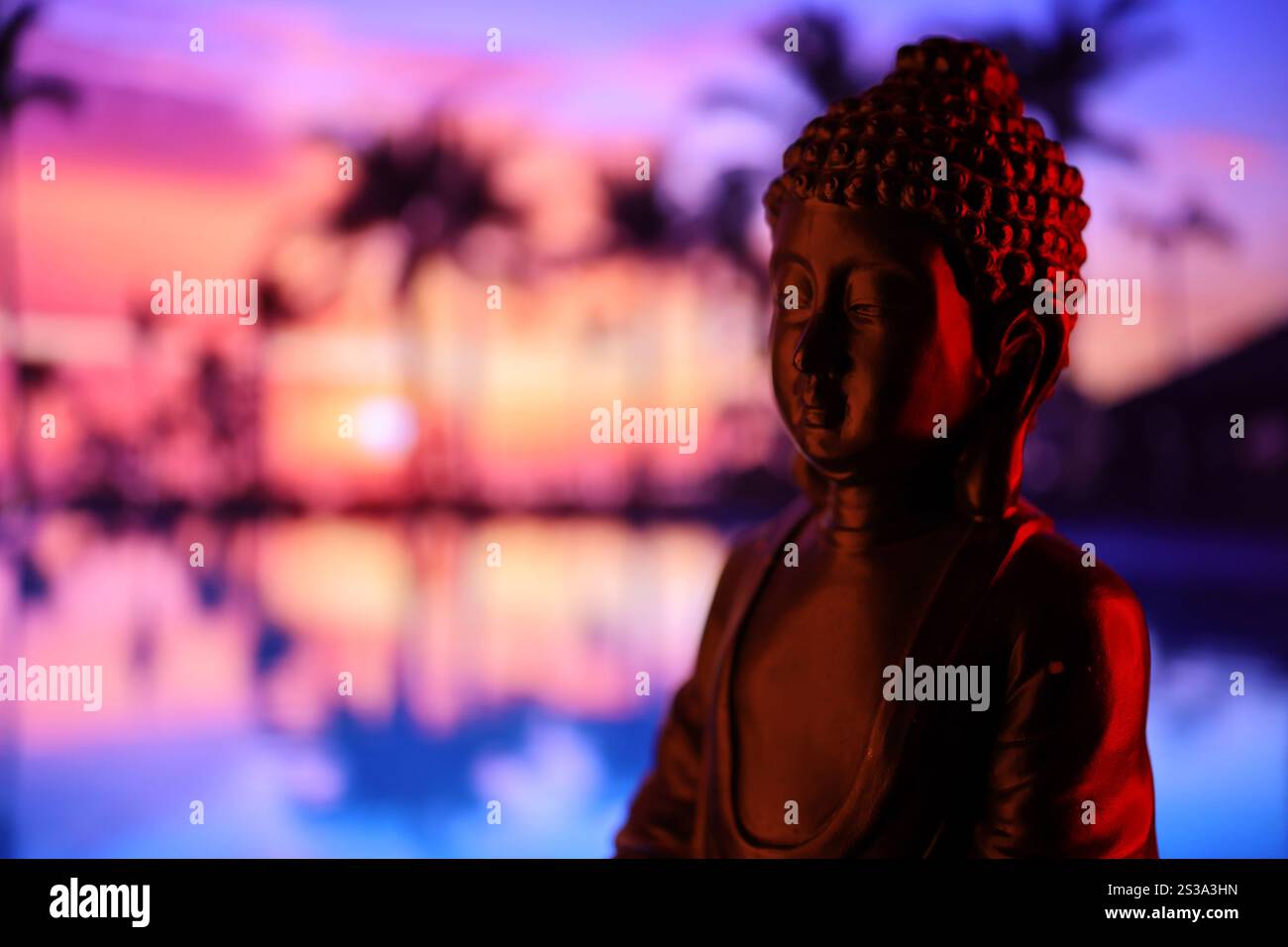 Bouddha Purnima et concept de jour Vesak, statue de Bouddha avec lumière basse sur fond beau et coloré en gros plan. Méditation. Bouddha Purnima Banque D'Images