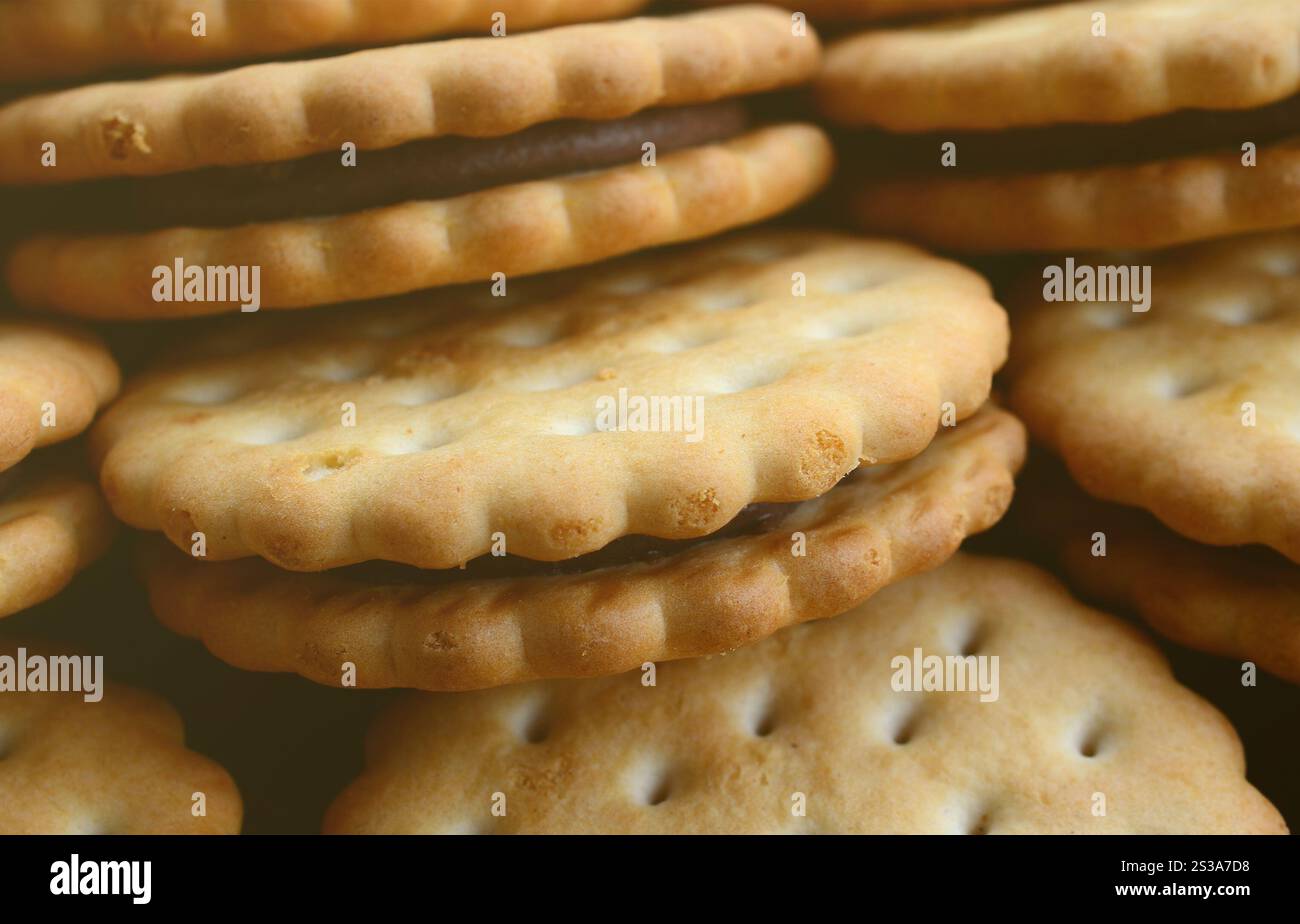 Image détaillée des biscuits sandwich ronds avec garniture à la noix de coco. Image d'arrière-plan d'un gros plan de plusieurs gâteries pour le thé Banque D'Images