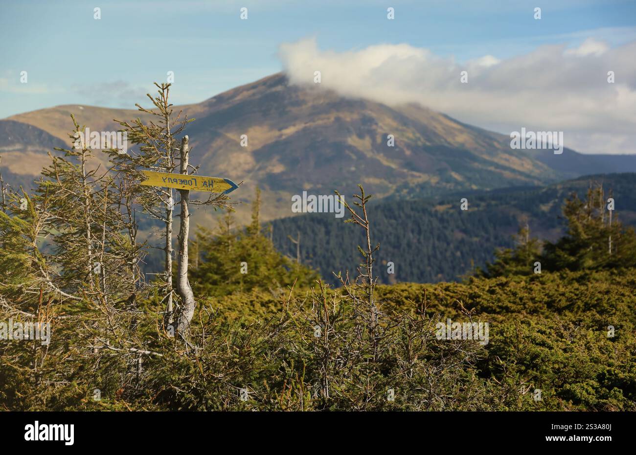 Signe fléché vers le mont Hoverla direction accrochant le pic des Carpates ukrainiennes. Signe fléché vers le mont Hoverla direction accrochant le pic de l'ukrainien Banque D'Images