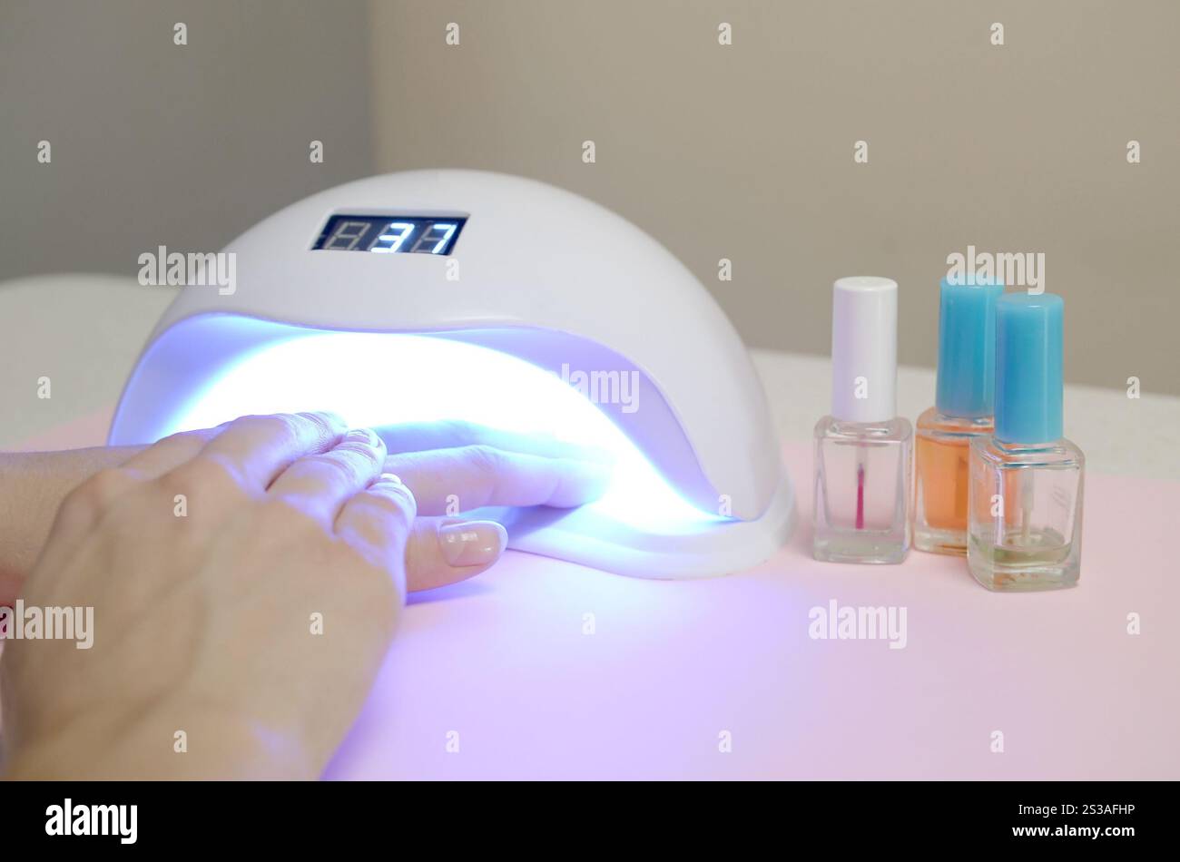 Mains de la jeune femme à la procédure de manucure gros plan sur fond rose pastel. Processus de vernis à ongles femme. Femelle utilisant la lampe LED uv shellac pour rapide Banque D'Images