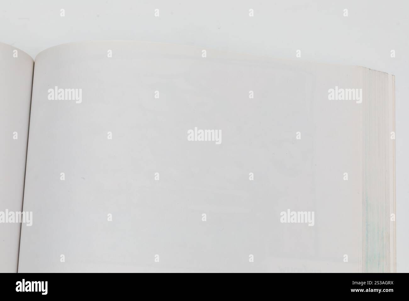 Livre ouvert avec des pages vierges sur fond blanc - photo stock minimaliste Banque D'Images