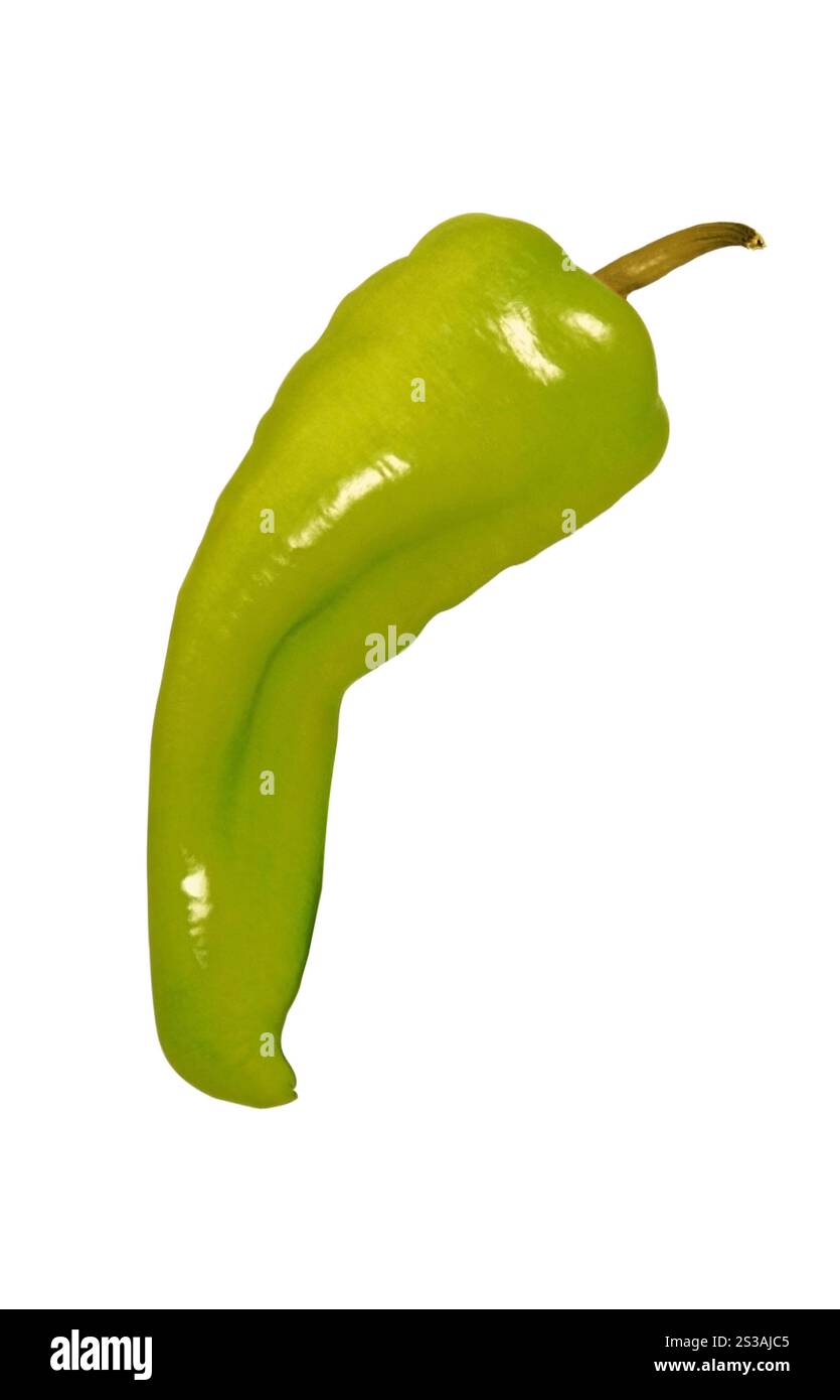 Poivre isolé sur fond blanc. Poivre Banque D'Images