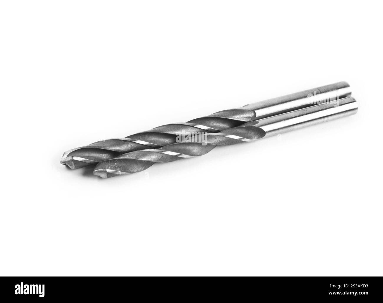 deux isolés sur fond blanc. deux forets isolés sur fond blanc Banque D'Images