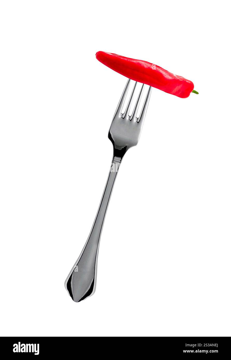 piment fort sur fourchette isolé sur fond blanc. piment fort sur fourchette isolé Banque D'Images