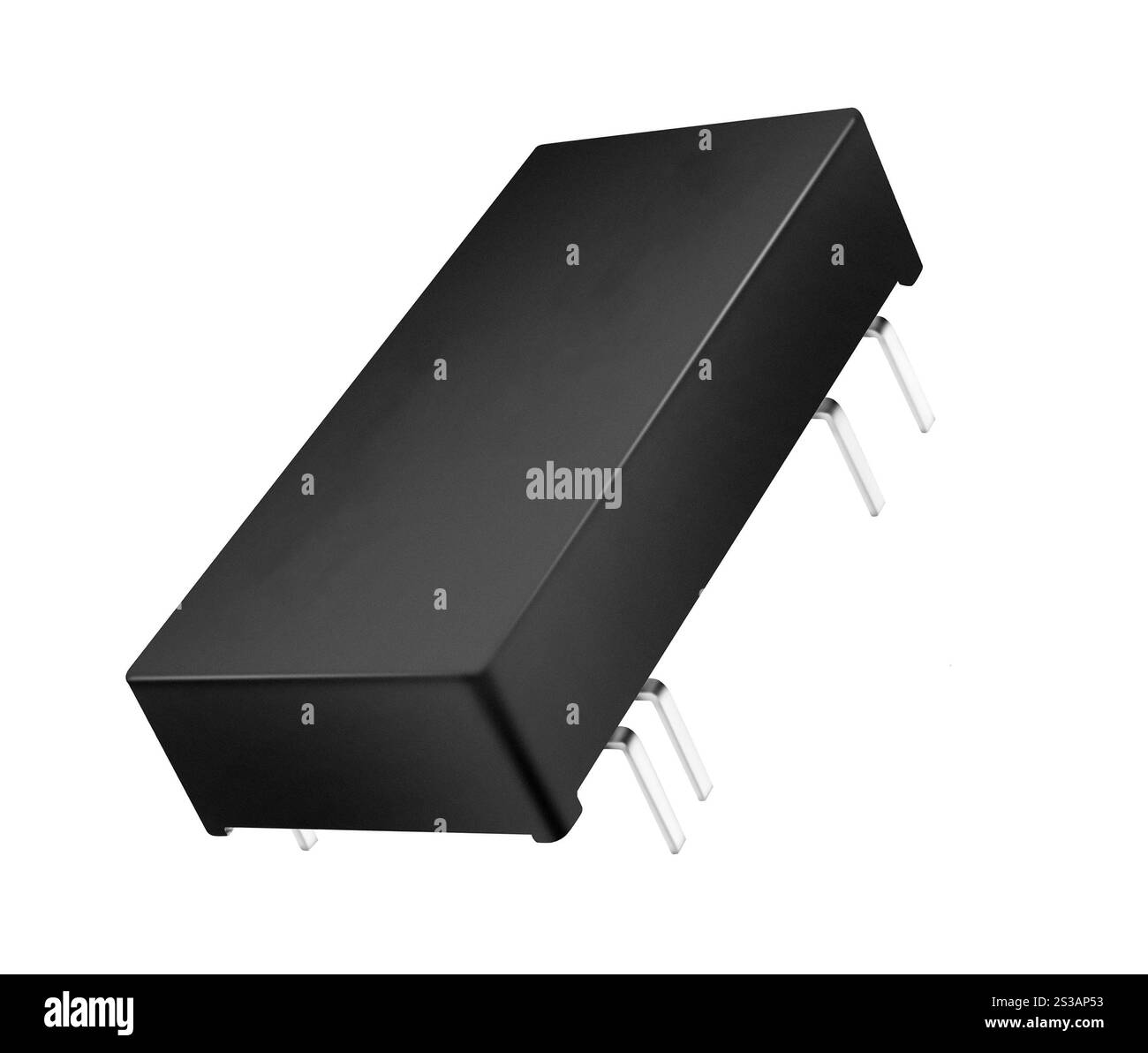 grande puce isolée sur fond blanc. grande puce isolée Banque D'Images