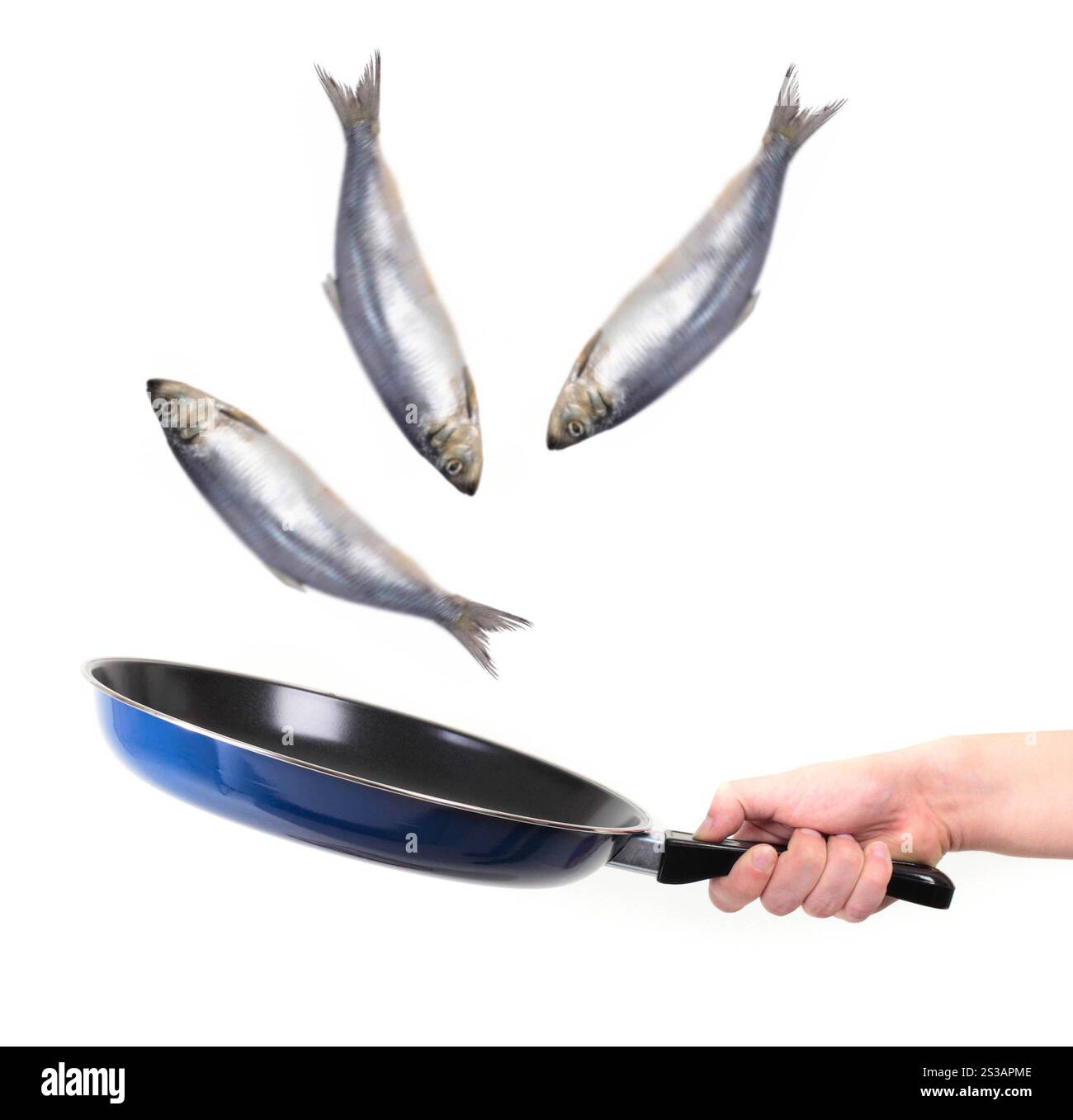 mouvement de poisson dans le stylo isolé sur fond blanc. mouvement de poisson dans le stylo Banque D'Images