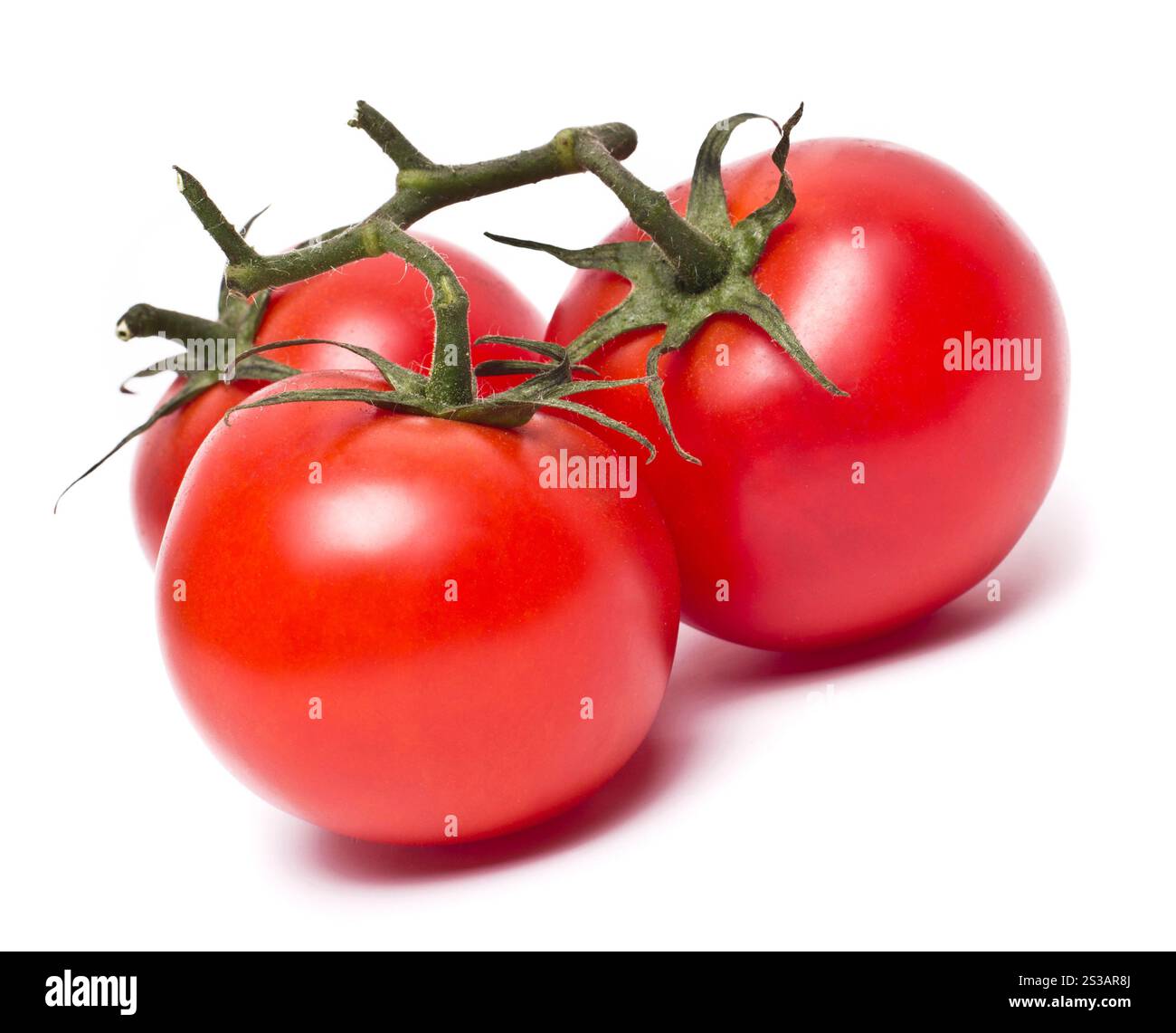Tomates italiennes avec des feuilles sur fond blanc Banque D'Images