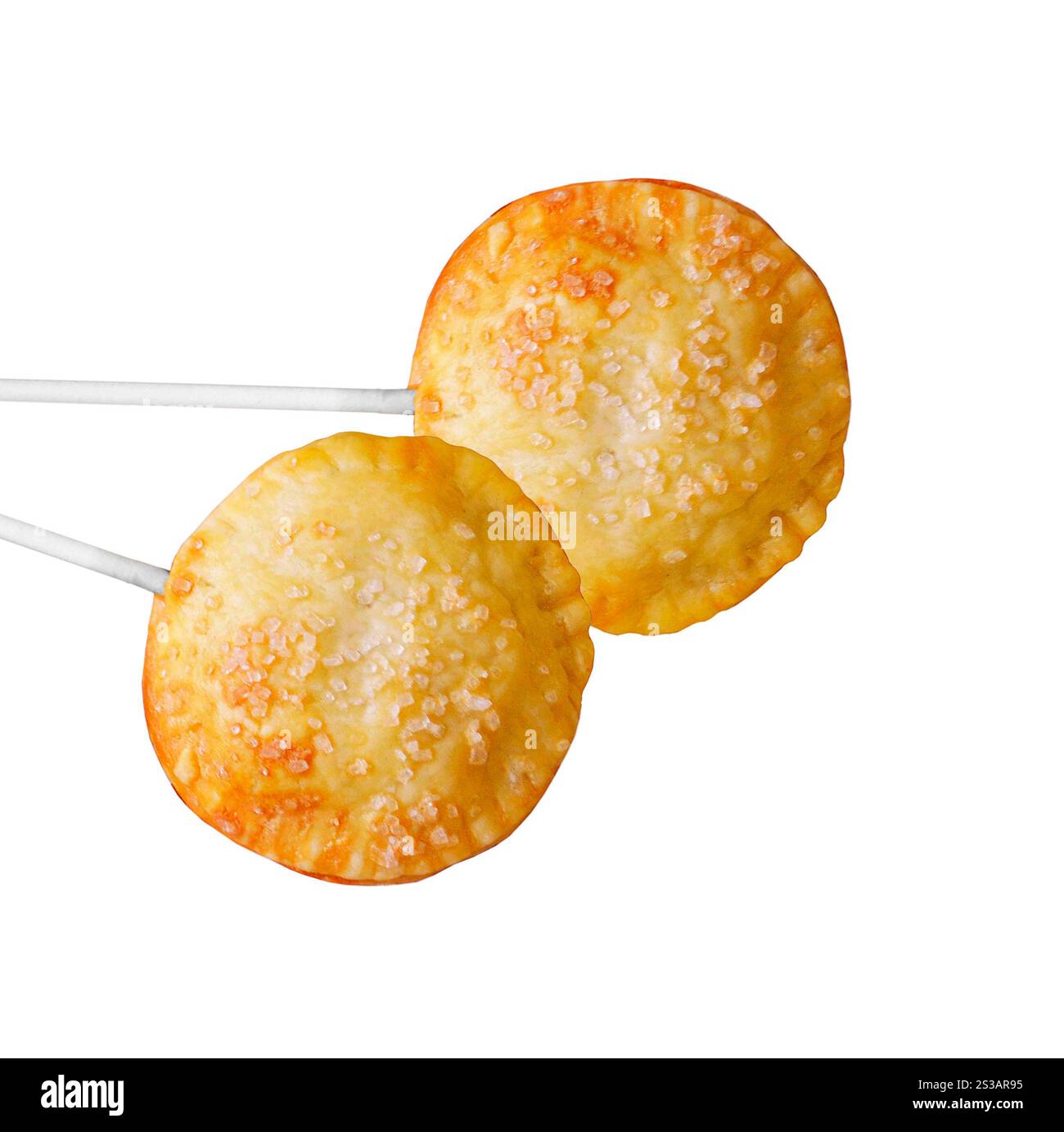 Pie POPS isolé sur fond blanc Banque D'Images