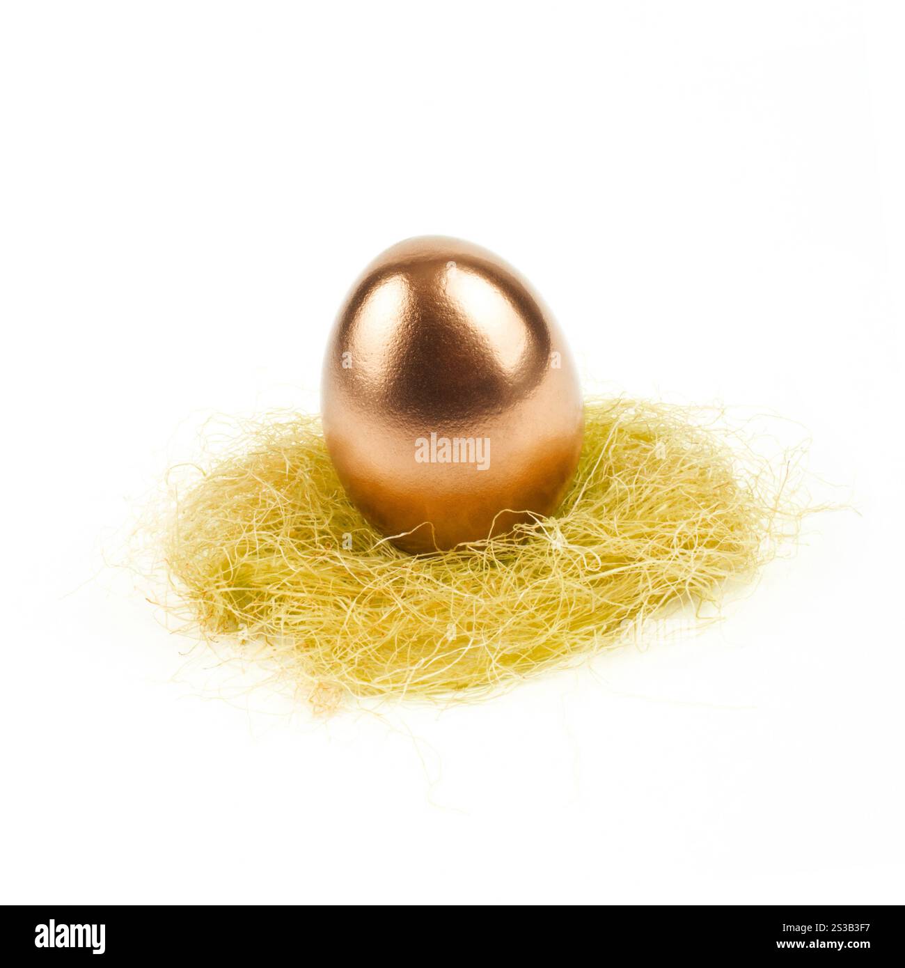 oeuf doré dans le nid isolé sur fond blanc. oeuf doré en nid isolé sur blanc Banque D'Images
