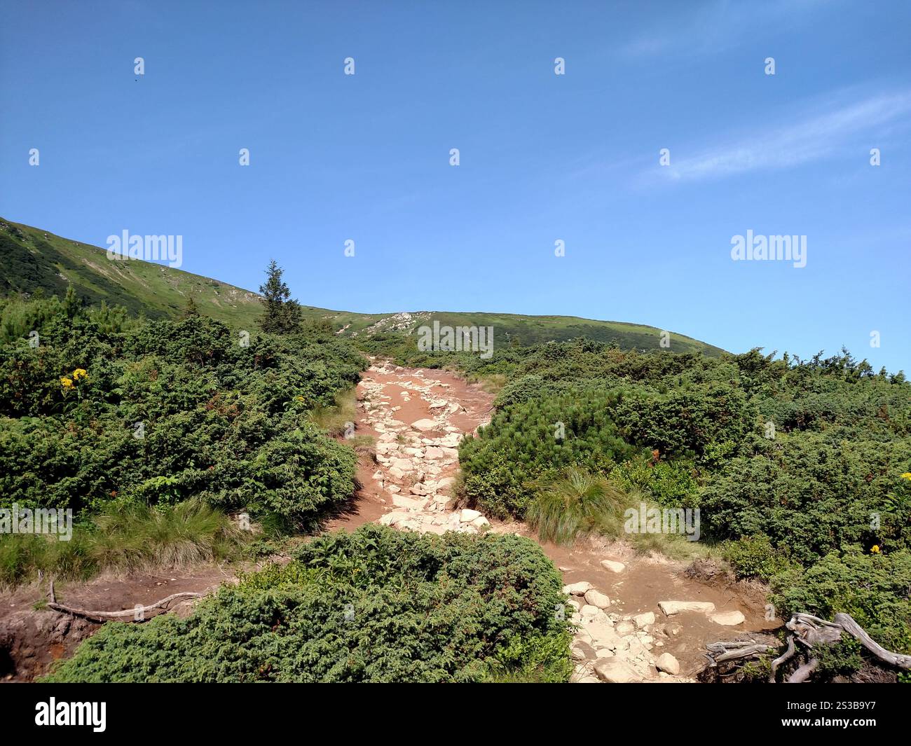 Sentier de route de montagne mène au paysage pittoresque avec vue sentier de randonnée Hoverla dans les Carpates horizontal Banque D'Images