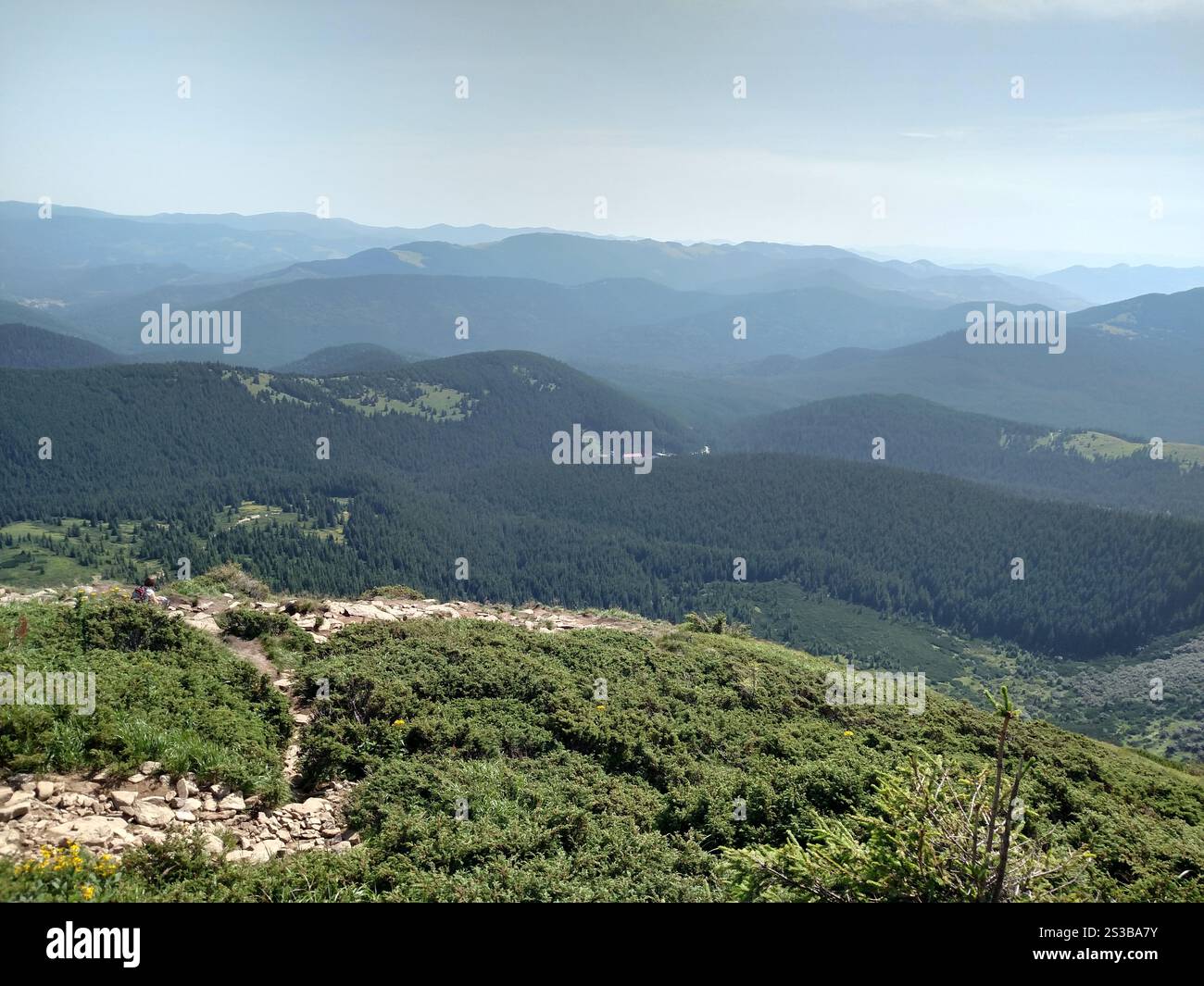 Paysage de montagne et image photo couleur horizontale de forêt Banque D'Images