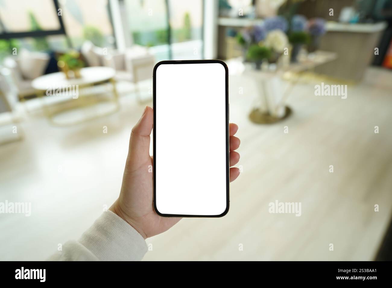 Mains de femmes tenant téléphone portable écran vide d'espace de copie. smartphone avec écran blanc vierge isolé. téléphone intelligent avec concept de technologie. Banque D'Images