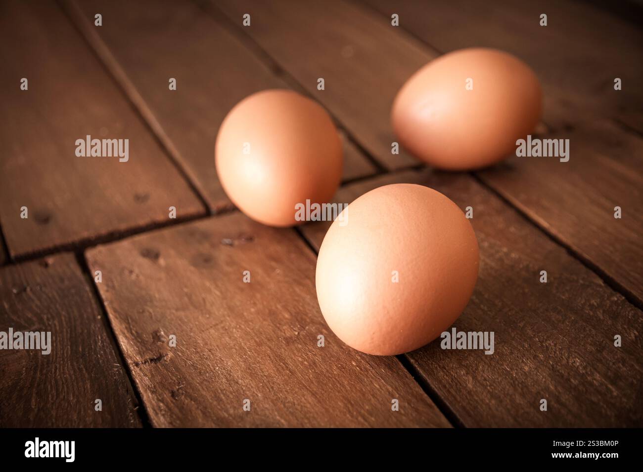 Oeufs frais d'arbre sur un fond de planche de bois rustique. Oeufs sur une planche de bois rustique Banque D'Images