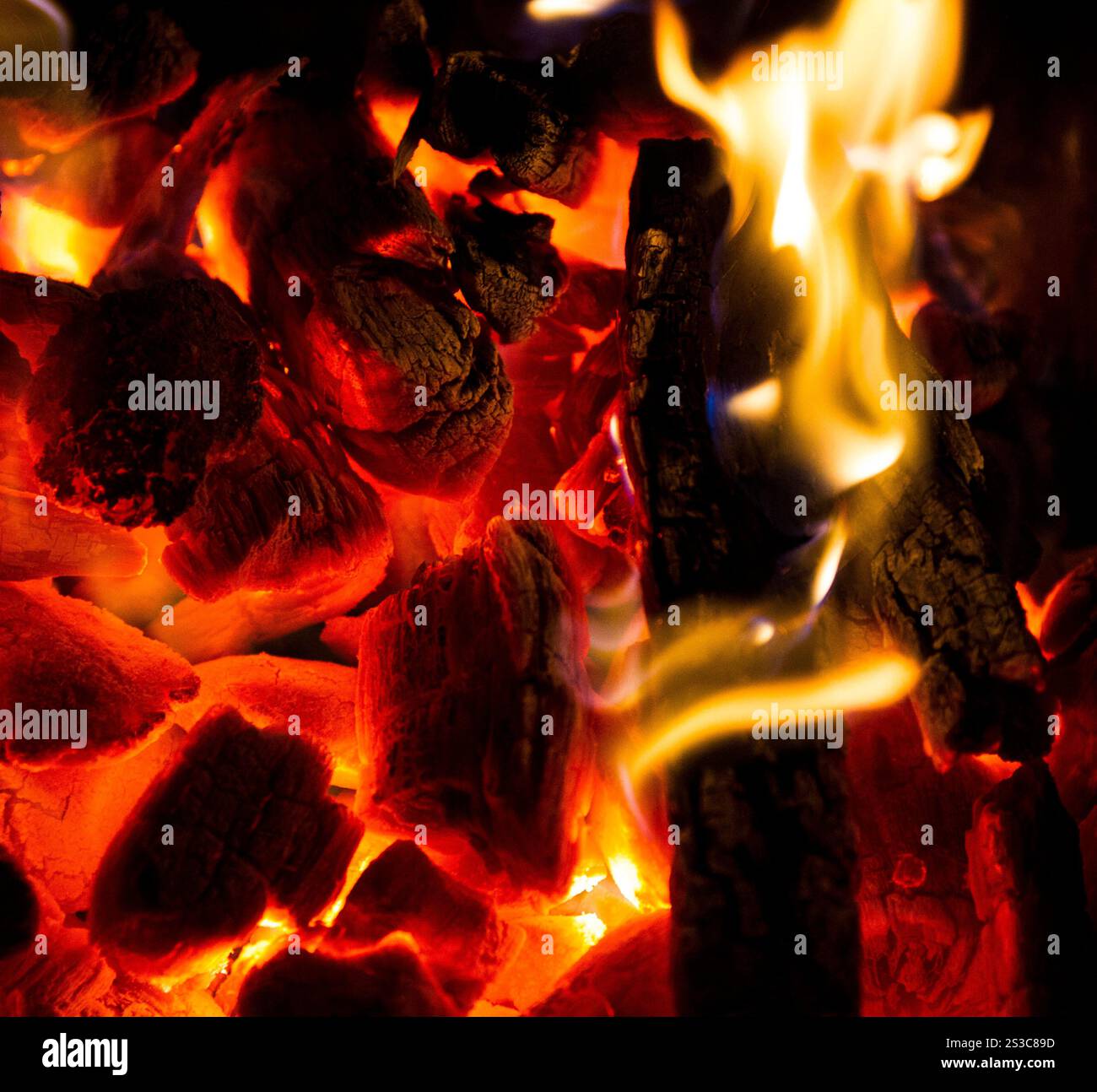 combustion de charbon de bois Banque D'Images