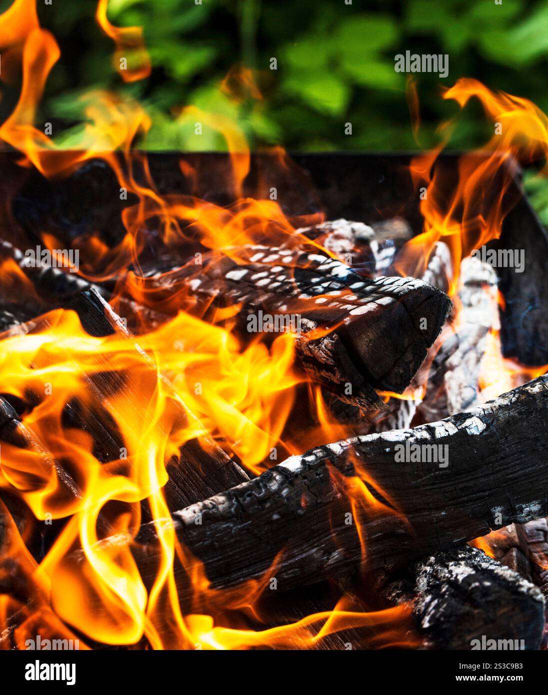 Flammes de feu de barbecue Banque D'Images