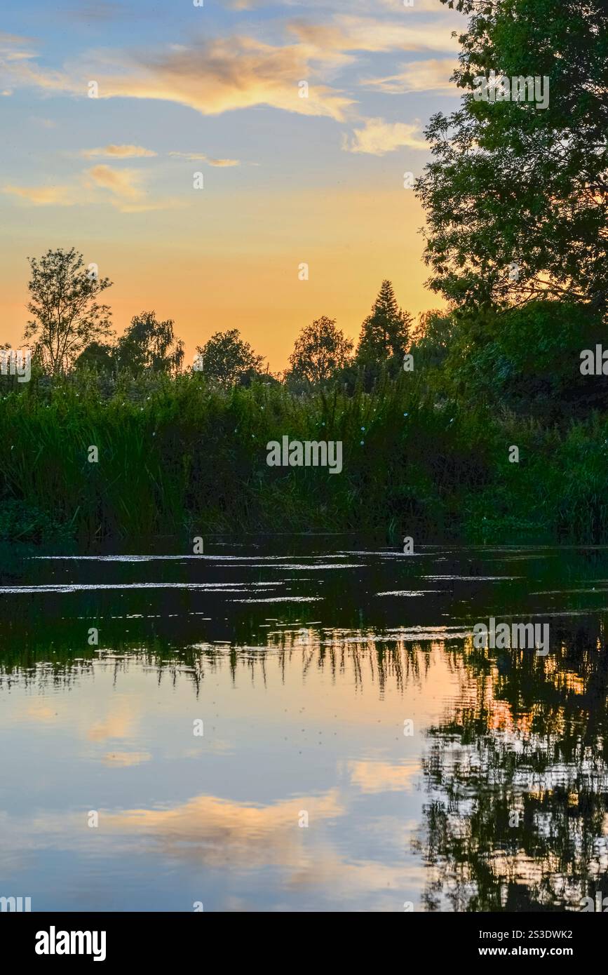 Paysage de soirée d'été en mode portrait avec ciel chaud et arbres reflétés dans l'eau Banque D'Images