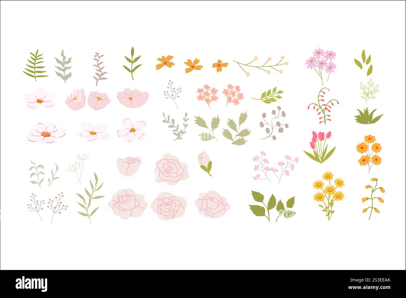 Collection colorée d'éléments floraux et de feuilles sur fond blanc. Illustration de Vecteur Collection colorée d'éléments floraux et de feuilles sur fond blanc. Illustration de Vecteur