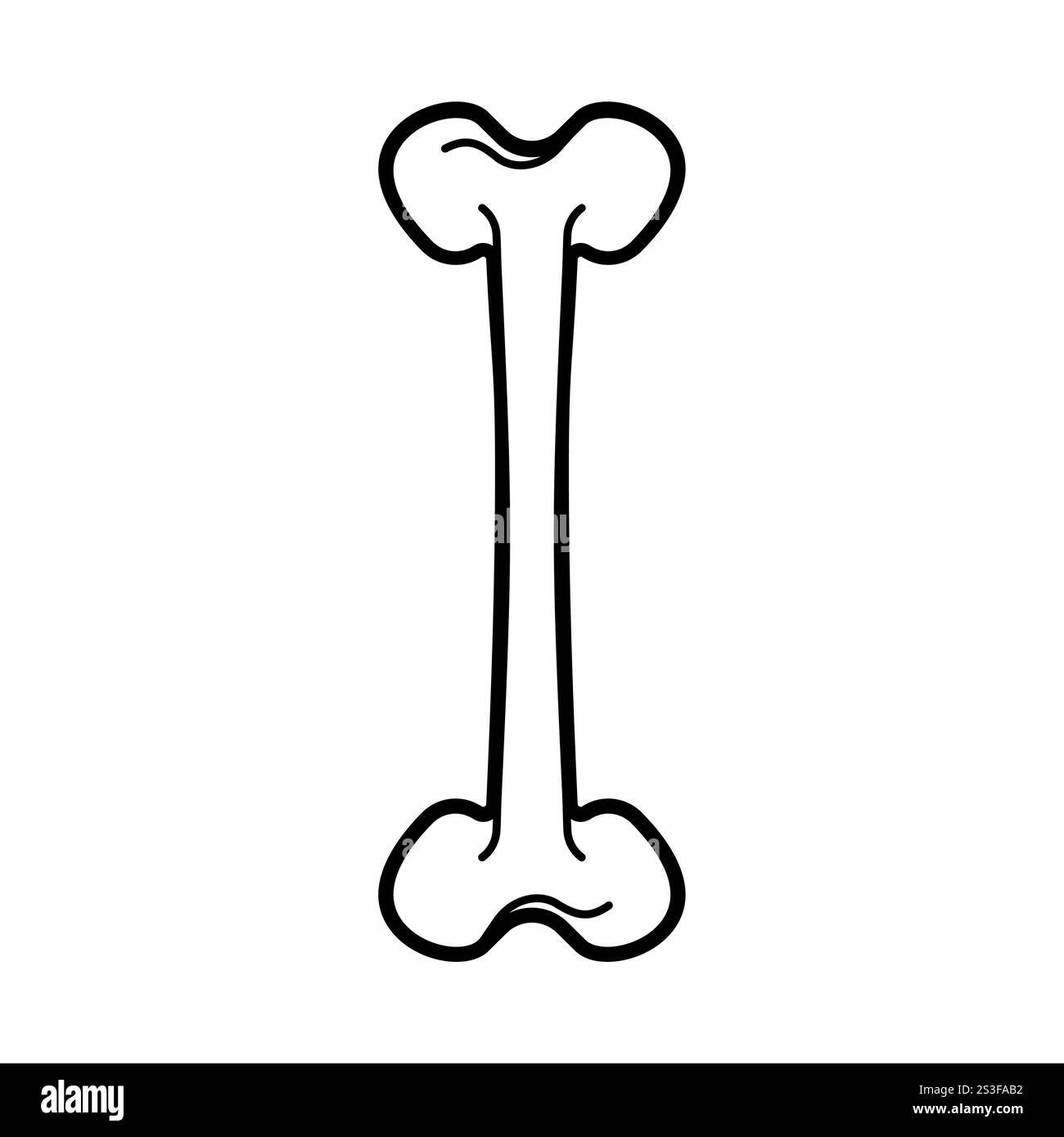OS isolé. Partie anatomique du squelette Illustration de Vecteur