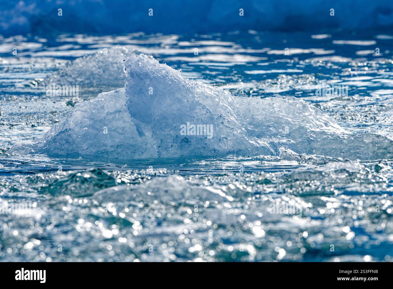 Gros plan de fragments glaciaires de glace flottant dans l'eau de mer très près d'un glacier qui draine la calotte glaciaire du Groenland. Evighedsfjorden, Groenland Banque D'Images
