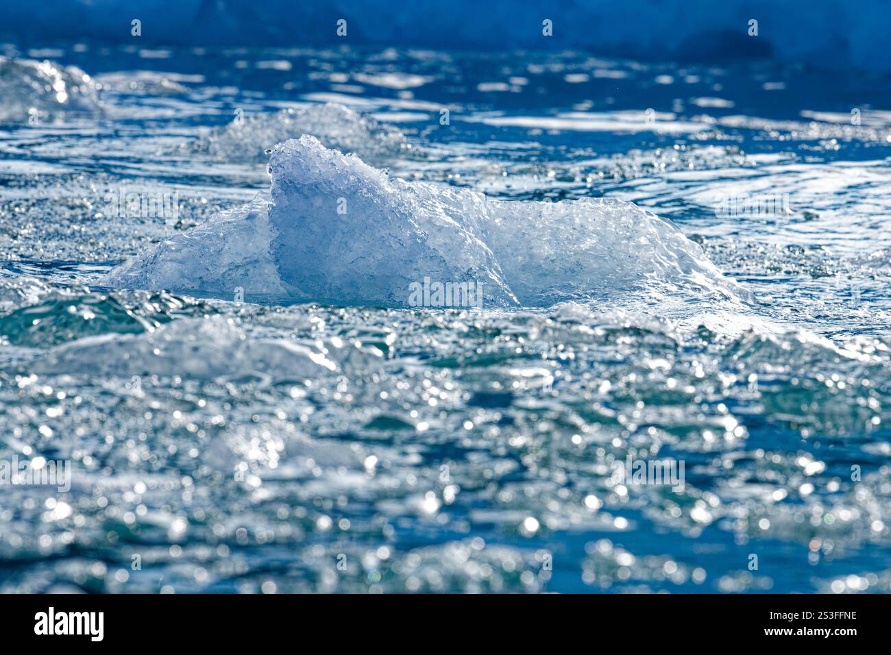 Gros plan de fragments glaciaires de glace flottant dans l'eau de mer très près d'un glacier qui draine la calotte glaciaire du Groenland. Evighedsfjorden, Groenland Banque D'Images