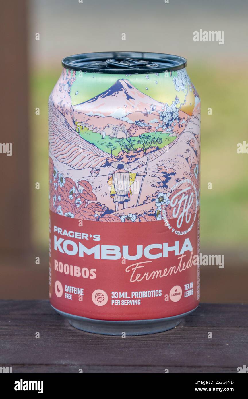 Zarska Wies, Pologne - 29 juin 2024 : boîte de thé fermenté Kombucha rooibos de Prager. Banque D'Images