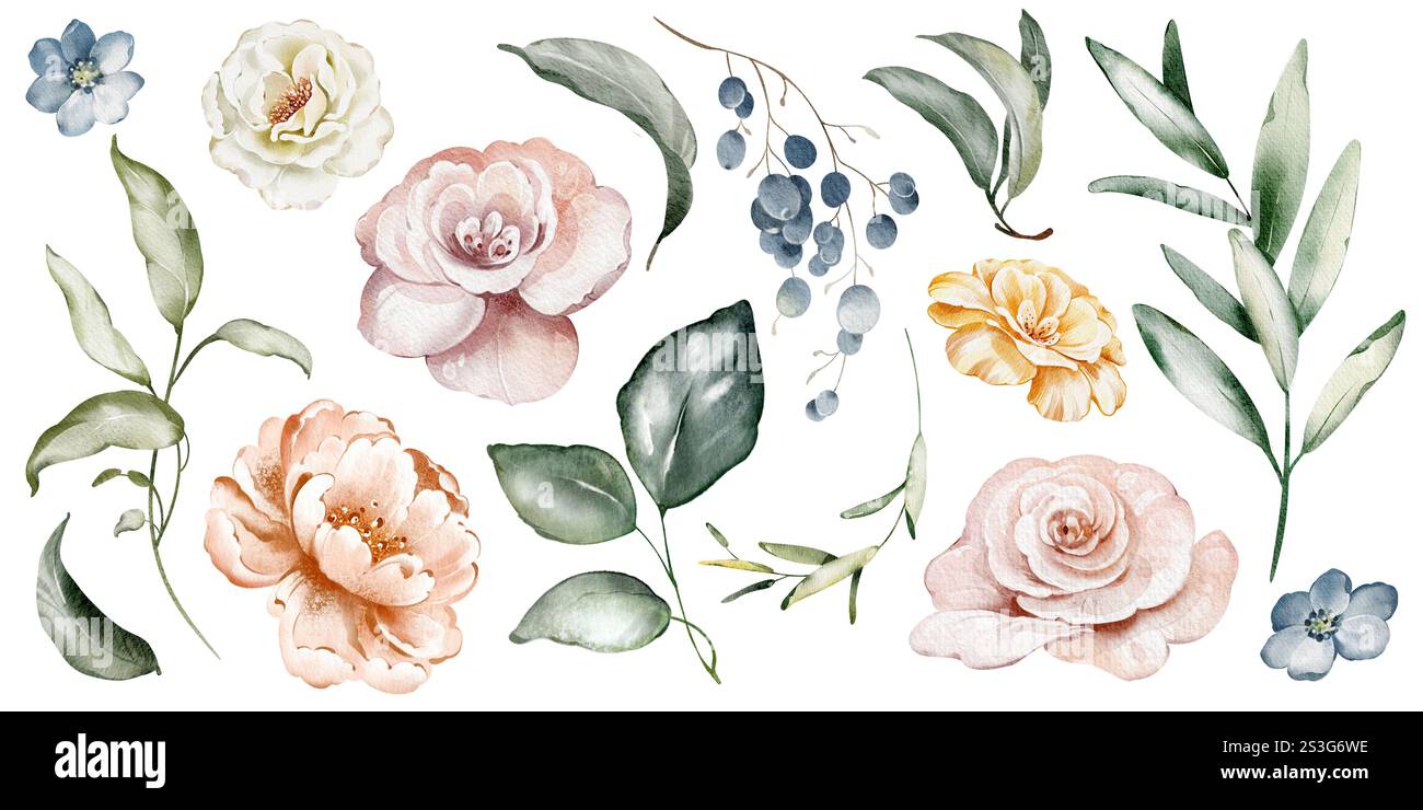 Clip art aquarelle de fleurs et de verdure Banque D'Images