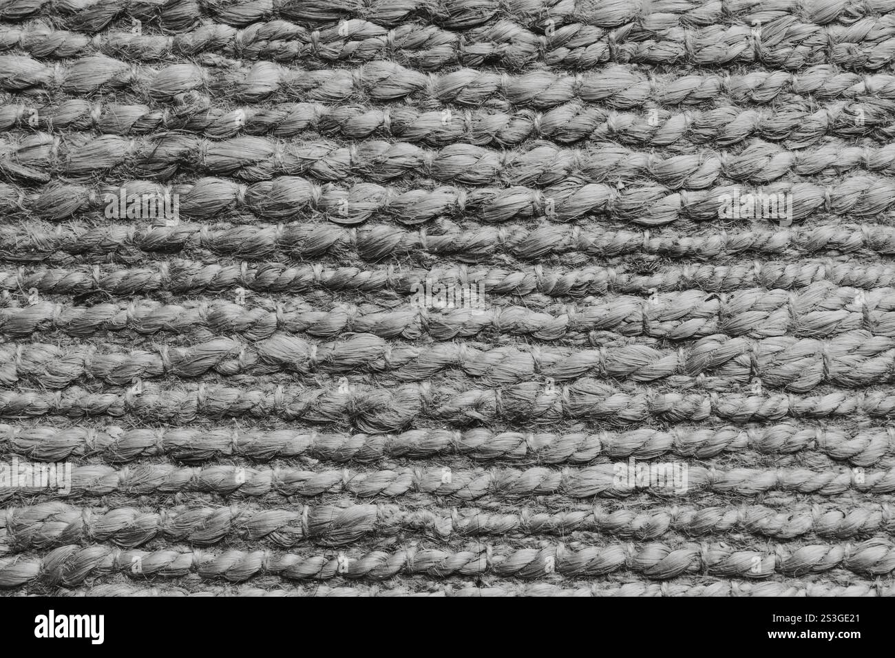 Fond de texture tissé abstrait. Monochrome. Noir et blanc. Placer pour le texte. Banque D'Images