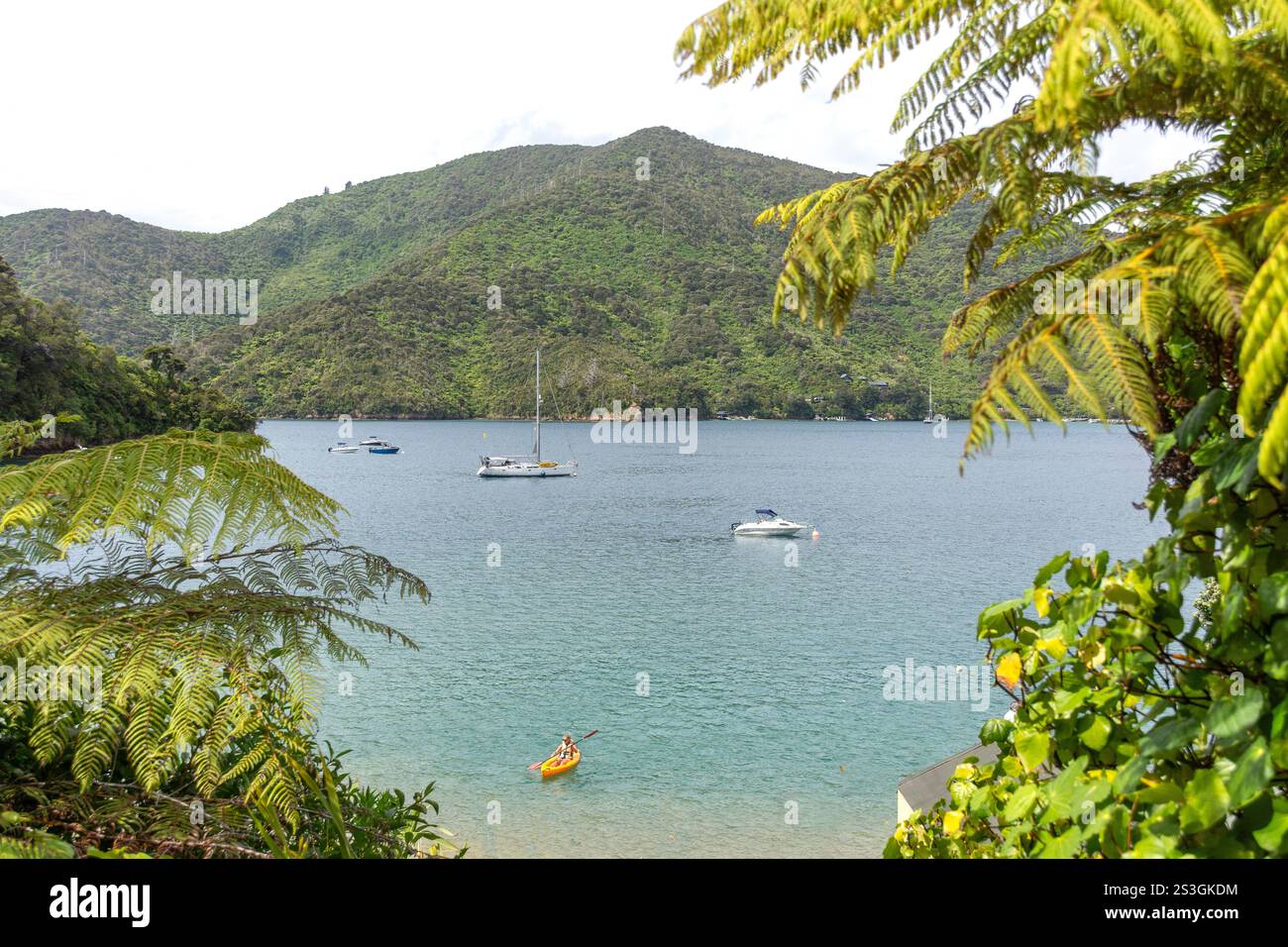 Baie Lochmara, Queen Charlotte Sound, Marlborough Sounds, région de Marlborough, île du Sud, Nouvelle-Zélande Banque D'Images Baie Lochmara, Queen Charlotte Sound, Marlborough Sounds, région de Marlborough, île du Sud, Nouvelle-Zélande Banque D'Images