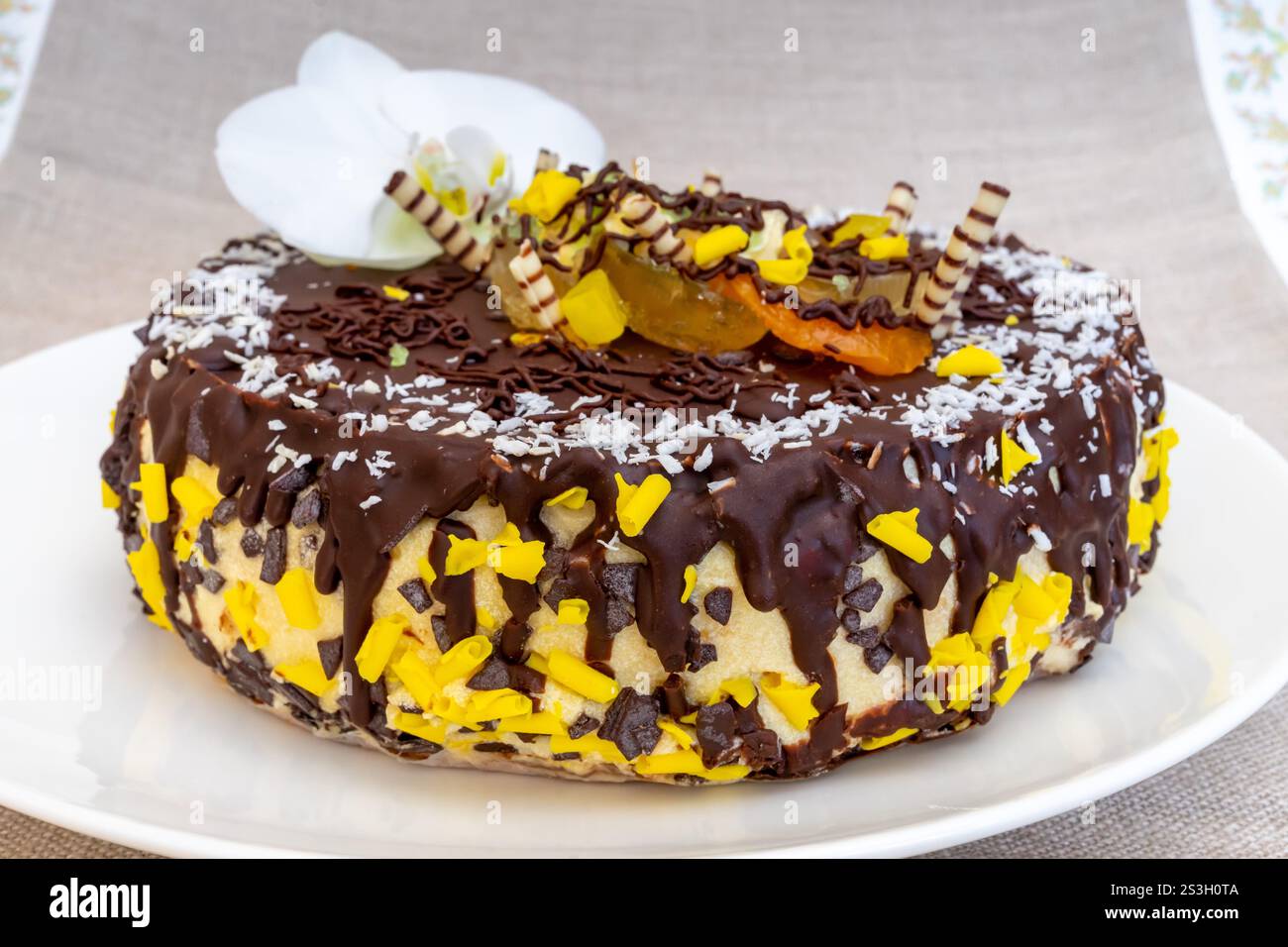 Un gâteau au chocolat riche présente des garnitures colorées comprenant des saupoudrages jaunes, des flocons de noix de coco et des copeaux de chocolat. Une touche élégante est ajoutée avec un Banque D'Images