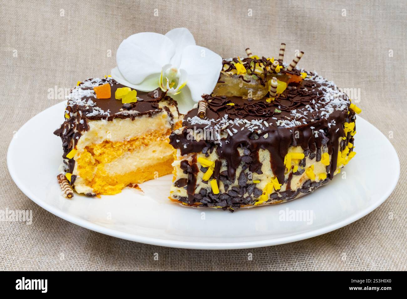 Un gâteau au chocolat magnifiquement conçu se trouve sur une assiette blanche, orné de noix de coco, de pépites colorées et d'une orchidée. Une tranche est supprimée, la mettant en évidence Banque D'Images