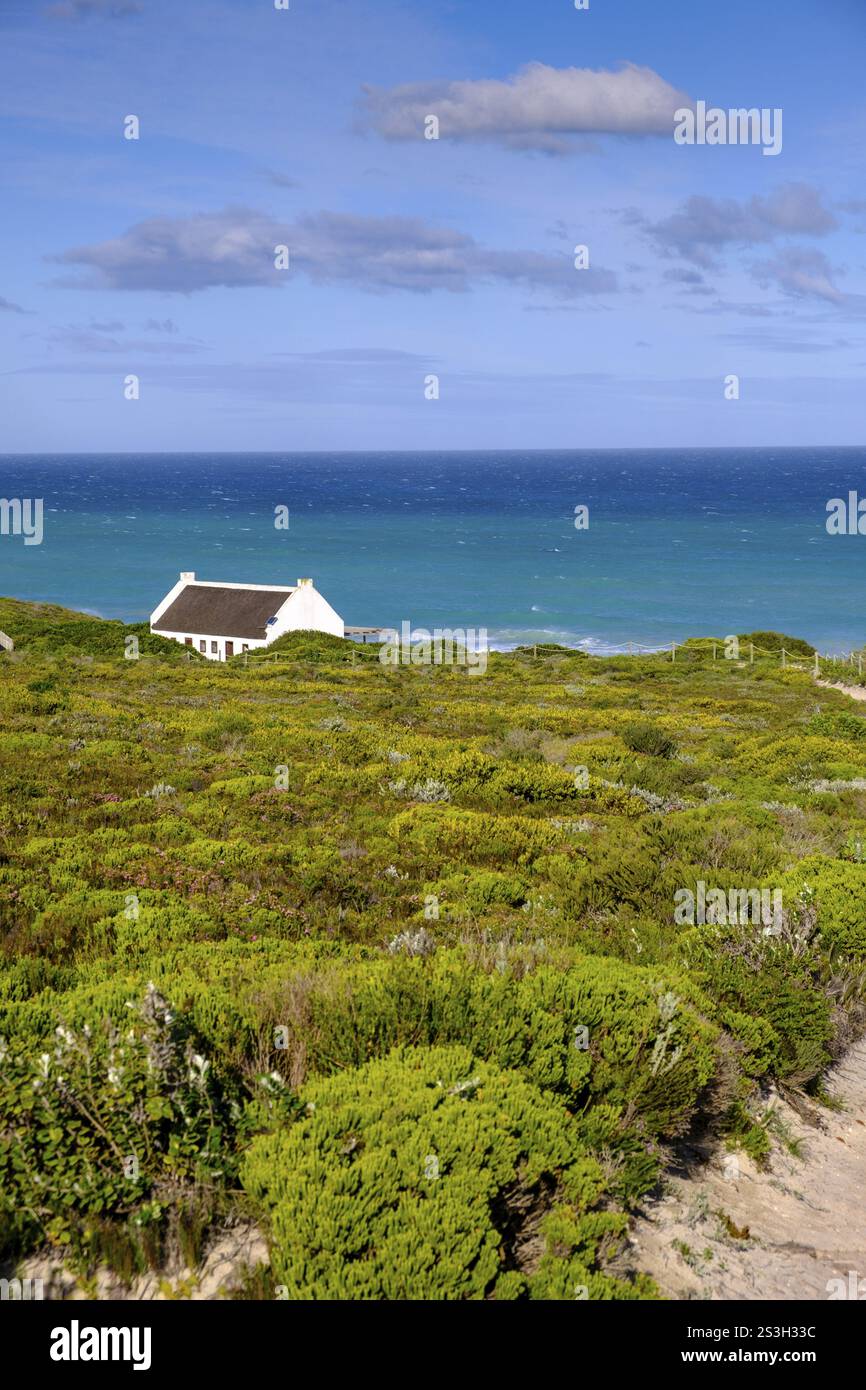 Infocenrter, réserve naturelle de Hoop, réserve naturelle près de Struisbaai, Océan Indien, Garden route, Western Cape, Afrique du Sud, Afrique Banque D'Images
