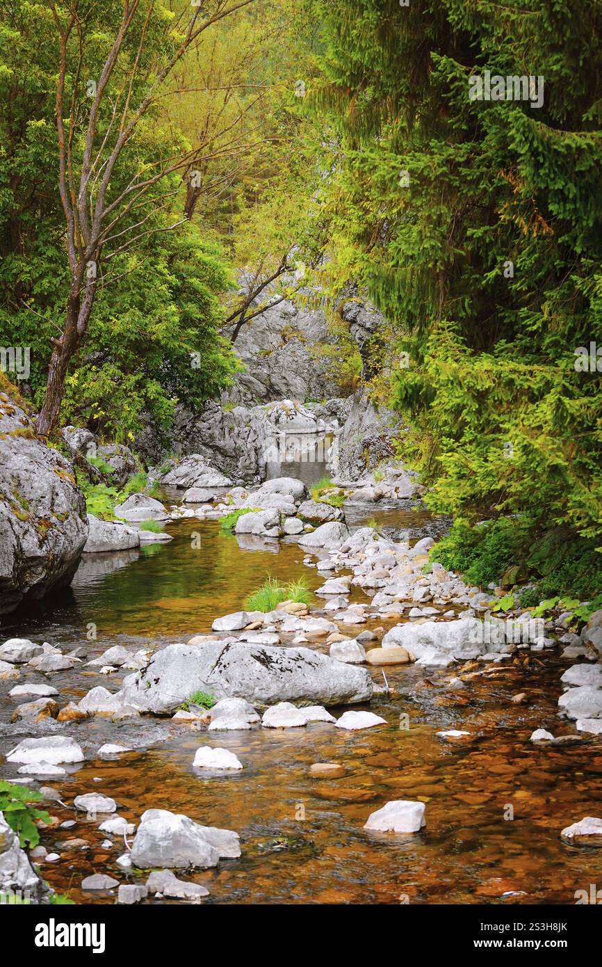 Rivière de montagne dans la gorge de Trigrad, montagnes Rhodopes dans le sud de la Bulgarie, sud-est de l'Europe Yagodina, Bulgarie, Europe Banque D'Images