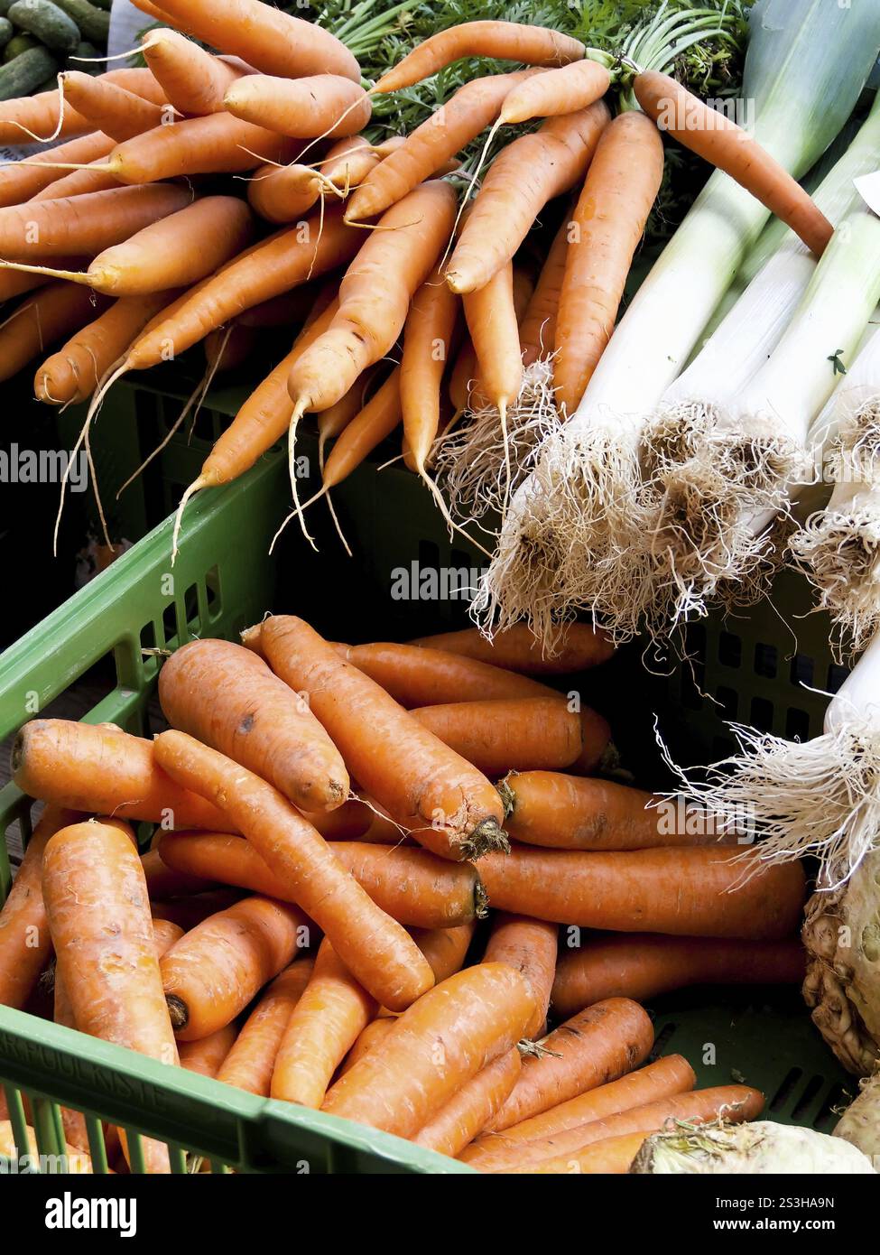 Un bouquet de carottes fraîches à vendre sur un marché, Autriche, Europe Banque D'Images